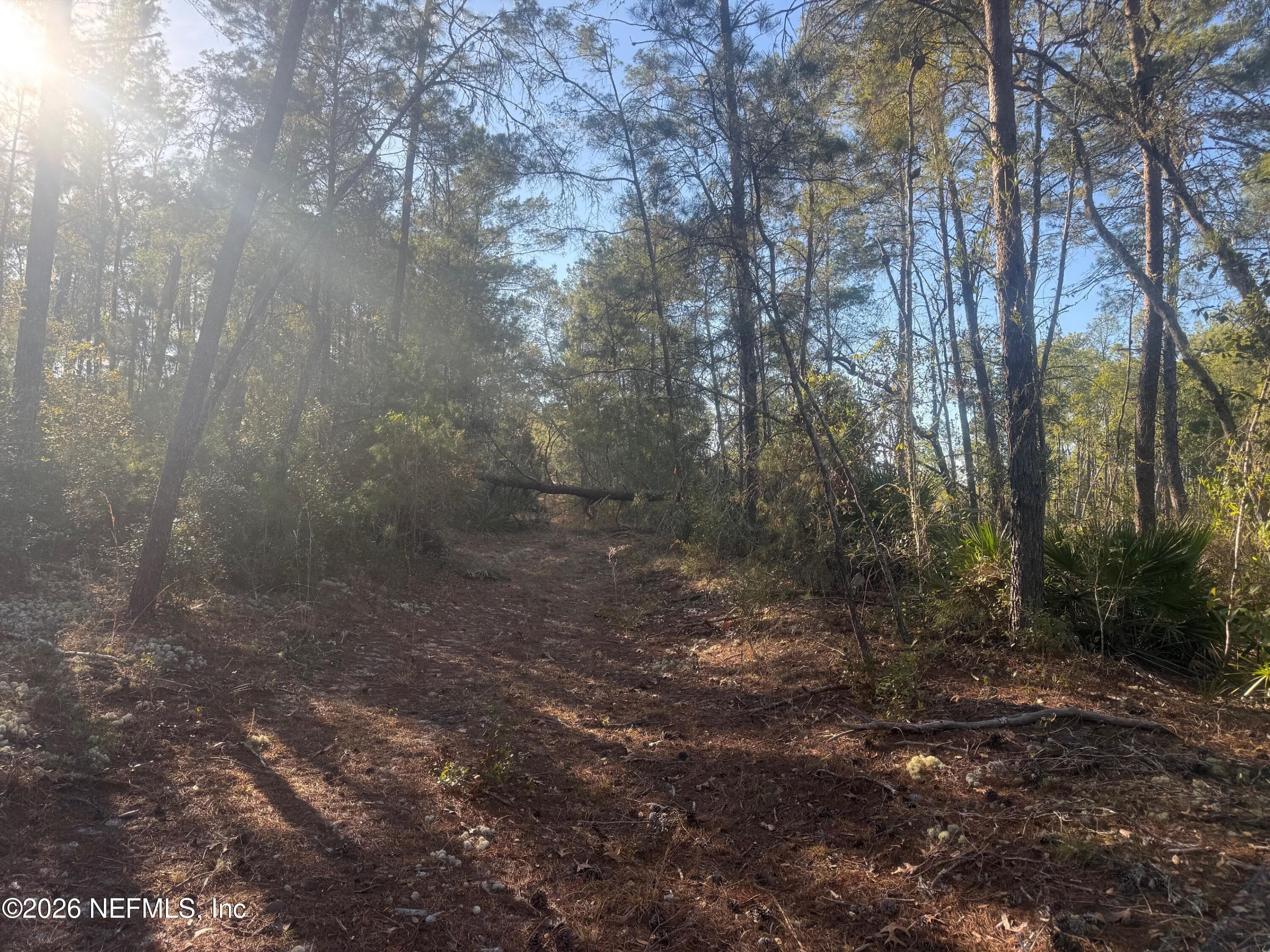 210 MORNINGSIDE Drive, Florahome, FL 32140, Florahome — photo 3