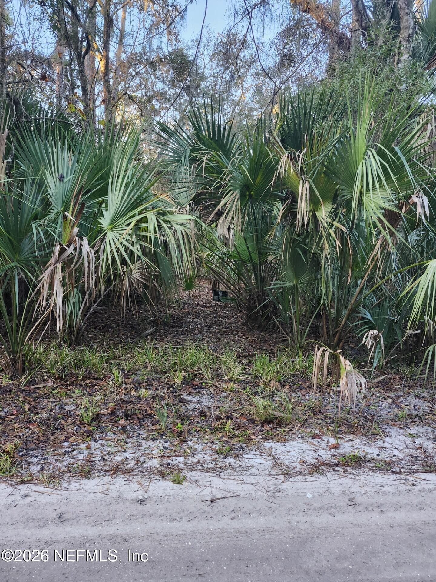 00 DRAYTON ISLAND, Crescent City, FL 32112, Crescent City — photo 2