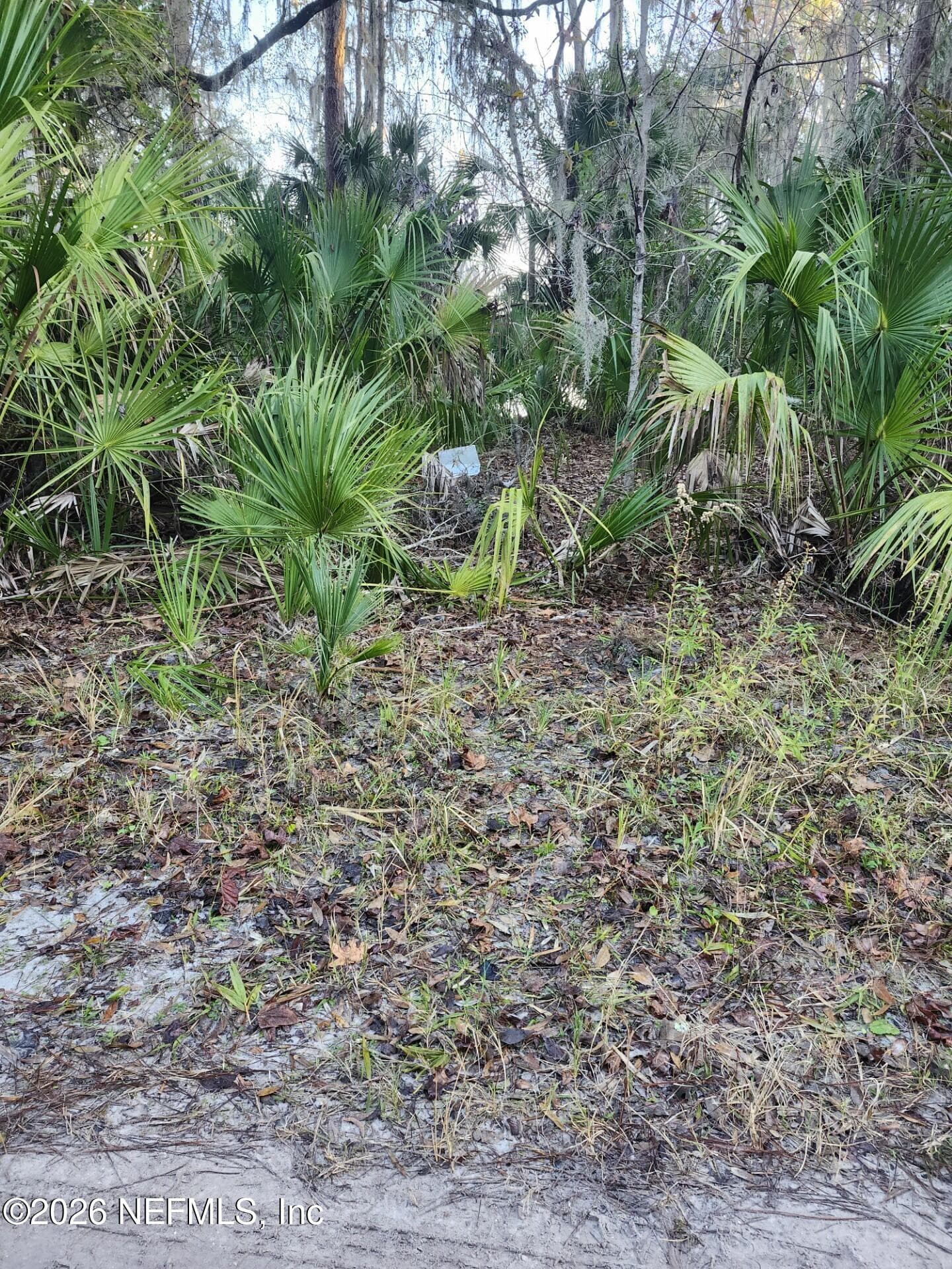00 DRAYTON ISLAND, Crescent City, FL 32112, Crescent City — photo 3