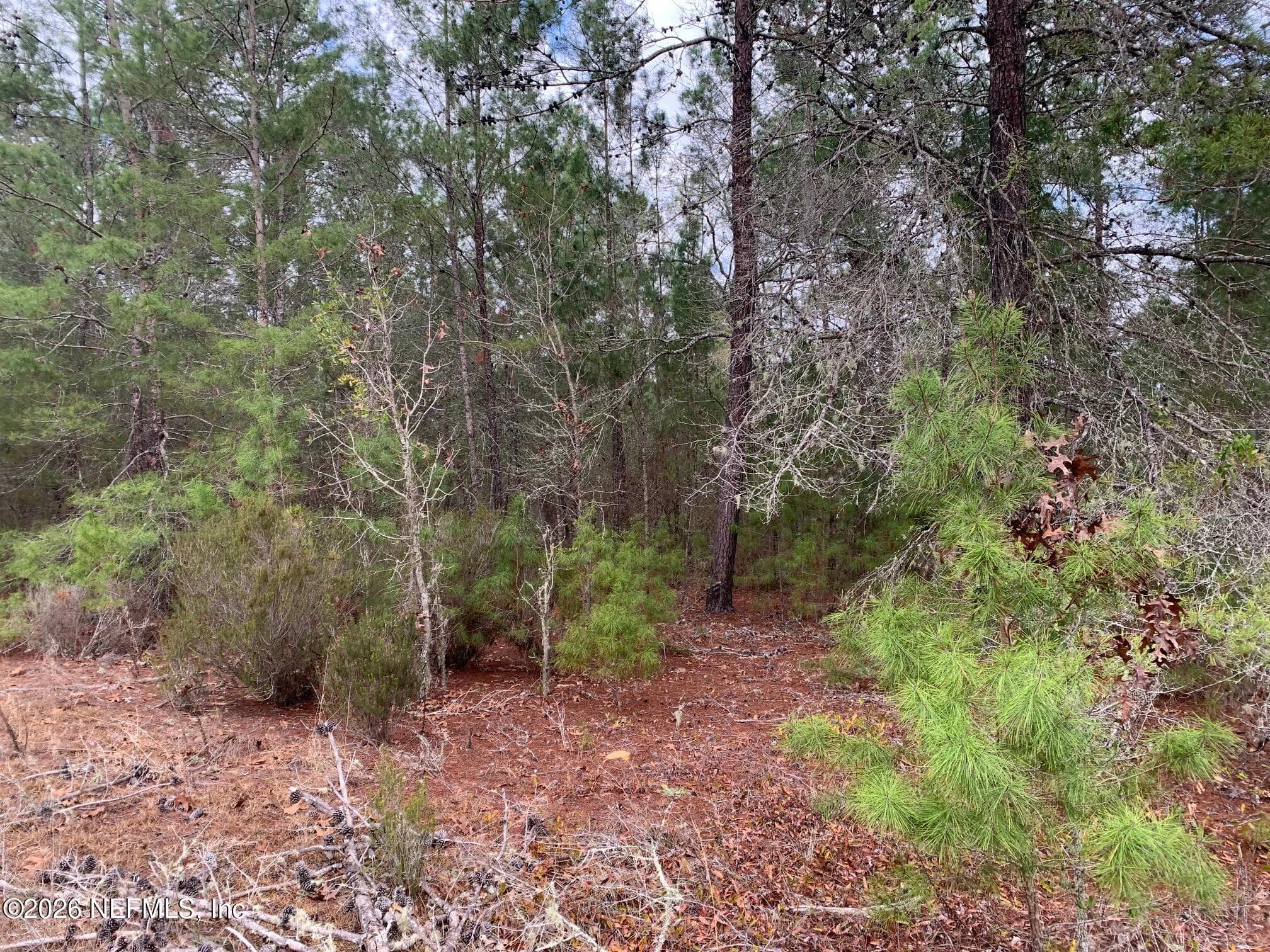 XXX ST LUCIE Avenue, Interlachen — photo 3