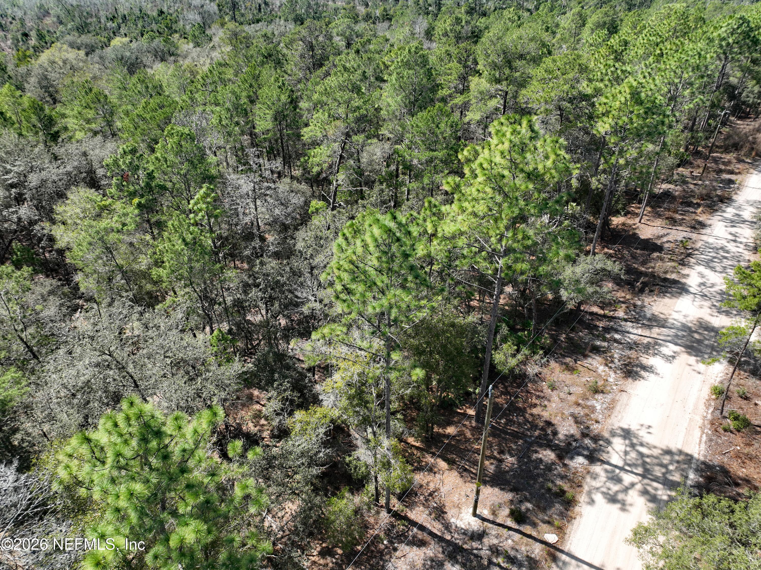143 FLORIDA Boulevard, Satsuma — photo 2