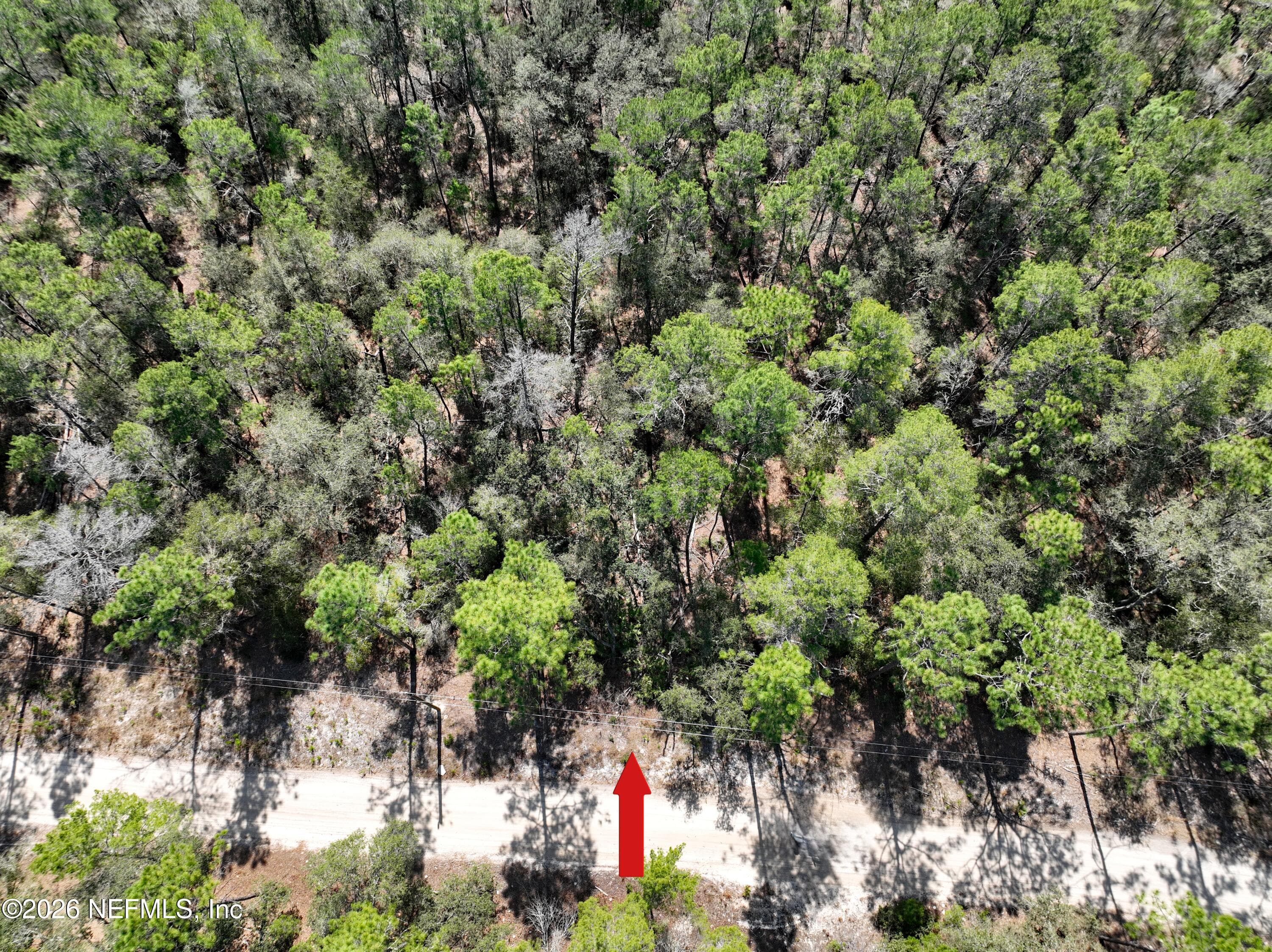 143 FLORIDA Boulevard, Satsuma — photo 3