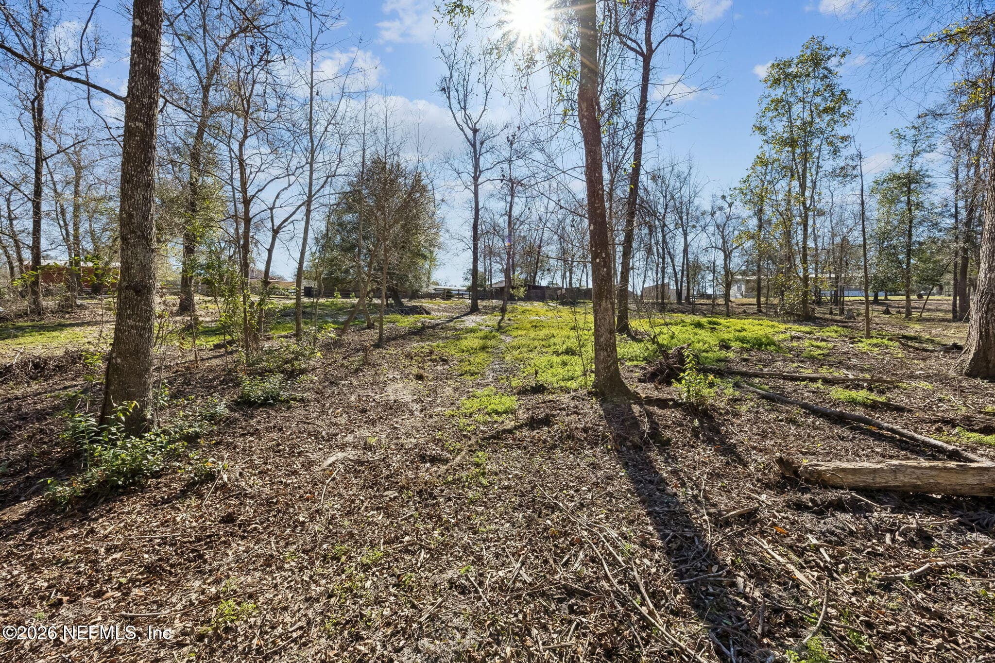 4564 CRAZY HORSE Avenue B, Middleburg, FL 32068, Middleburg — photo 2