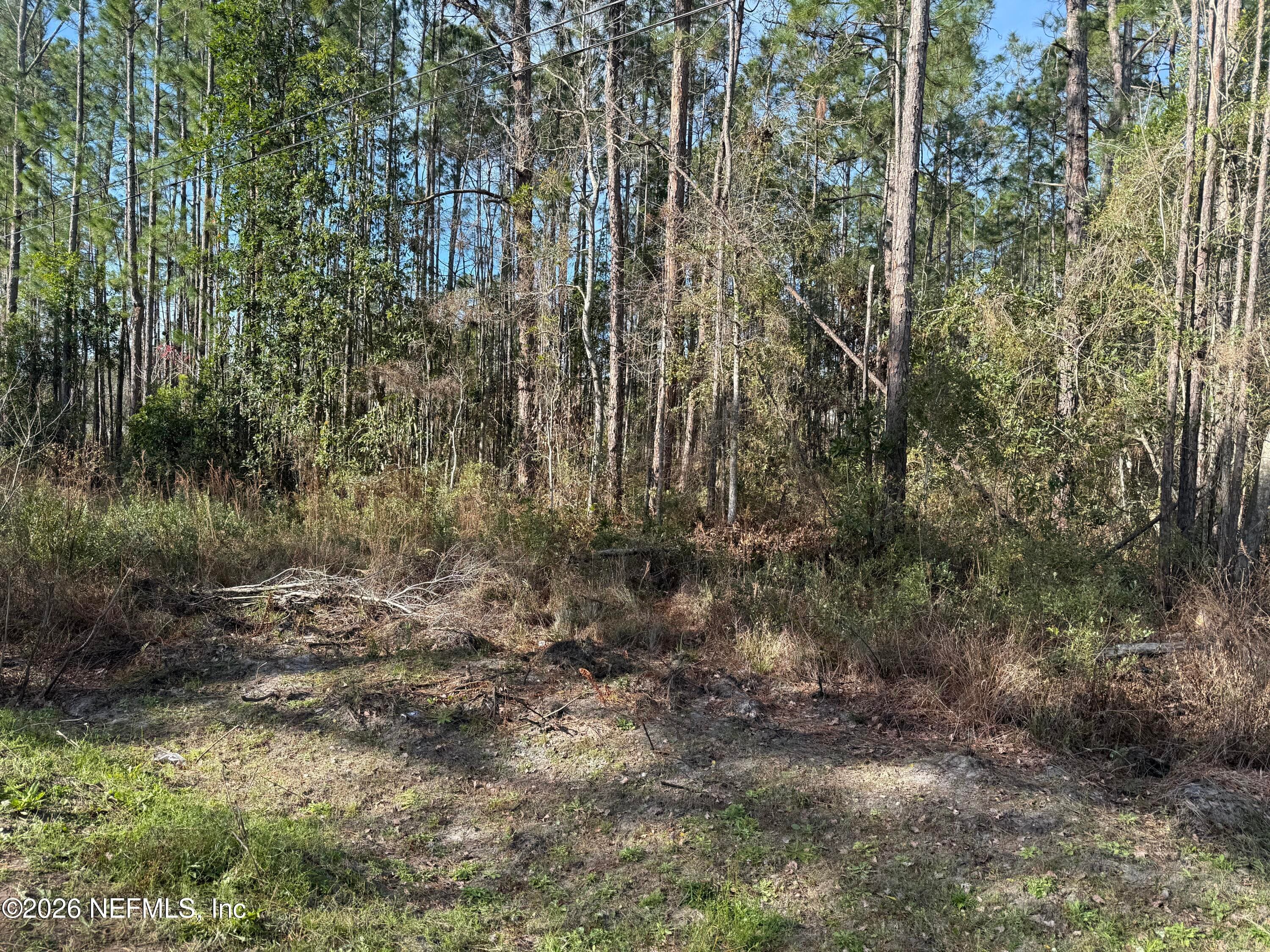 0 WOLF Trail, Middleburg, FL 32068, Middleburg — exterior