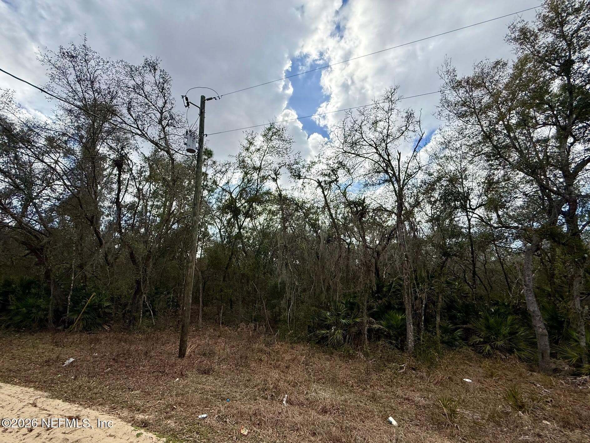 XXX USINA Avenue, Interlachen, FL 32148, Interlachen — photo 3
