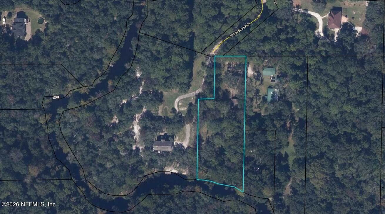 3125 BLACK CREEK Drive, Middleburg, FL 32068, Middleburg — photo 2