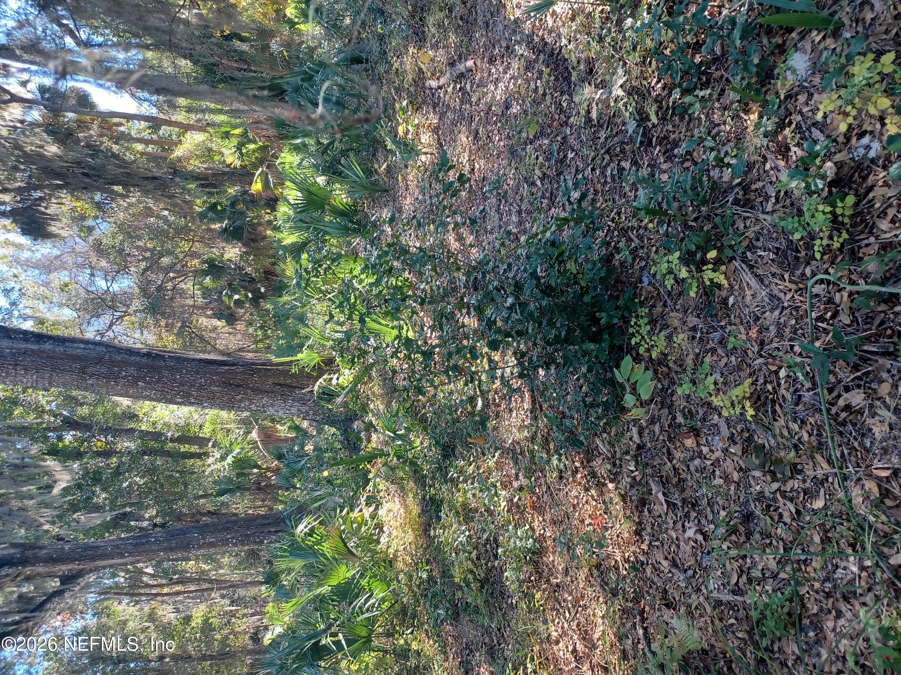 2499 HENLEY Road, Green Cove Springs, FL 32043, Green Cove Springs — exterior