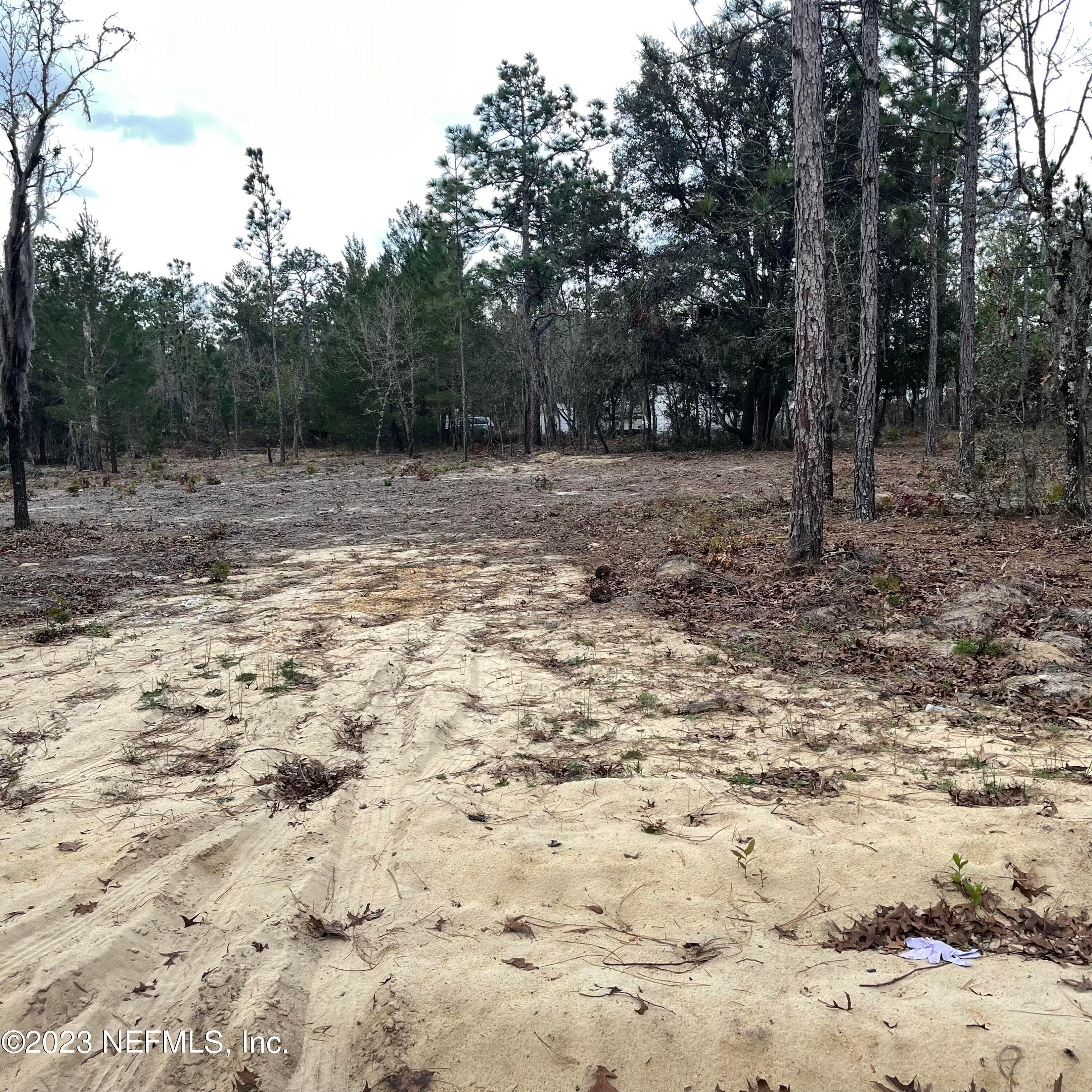 205 LONDON Avenue, Interlachen, FL 32148, Interlachen — photo 3