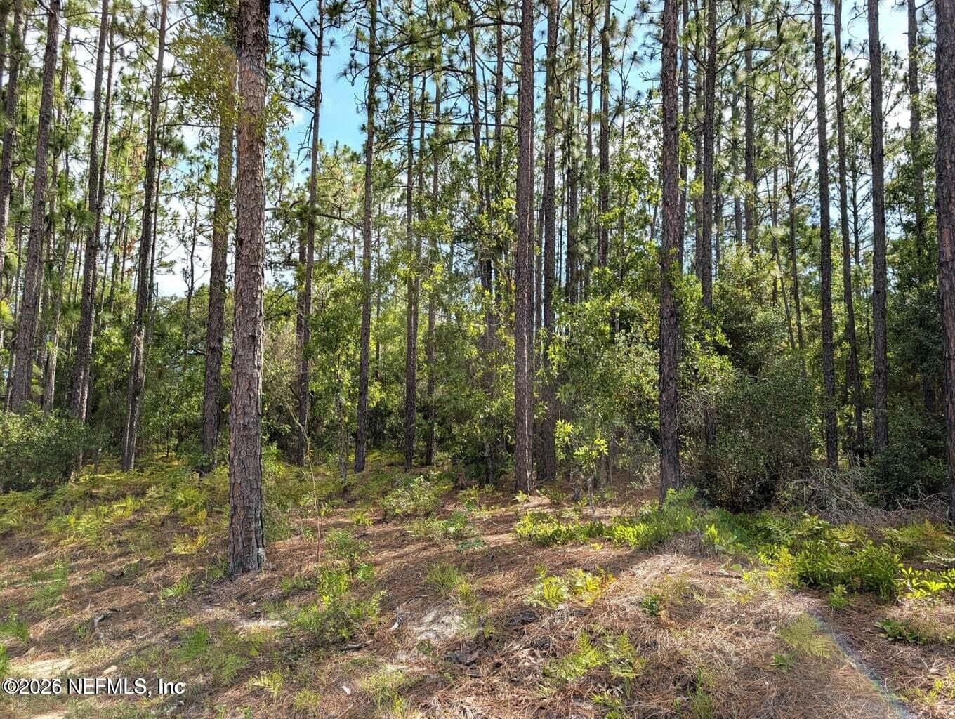 0 CR 218 PASAFINO Road, Green Cove Springs, FL 32043, Green Cove Springs — exterior