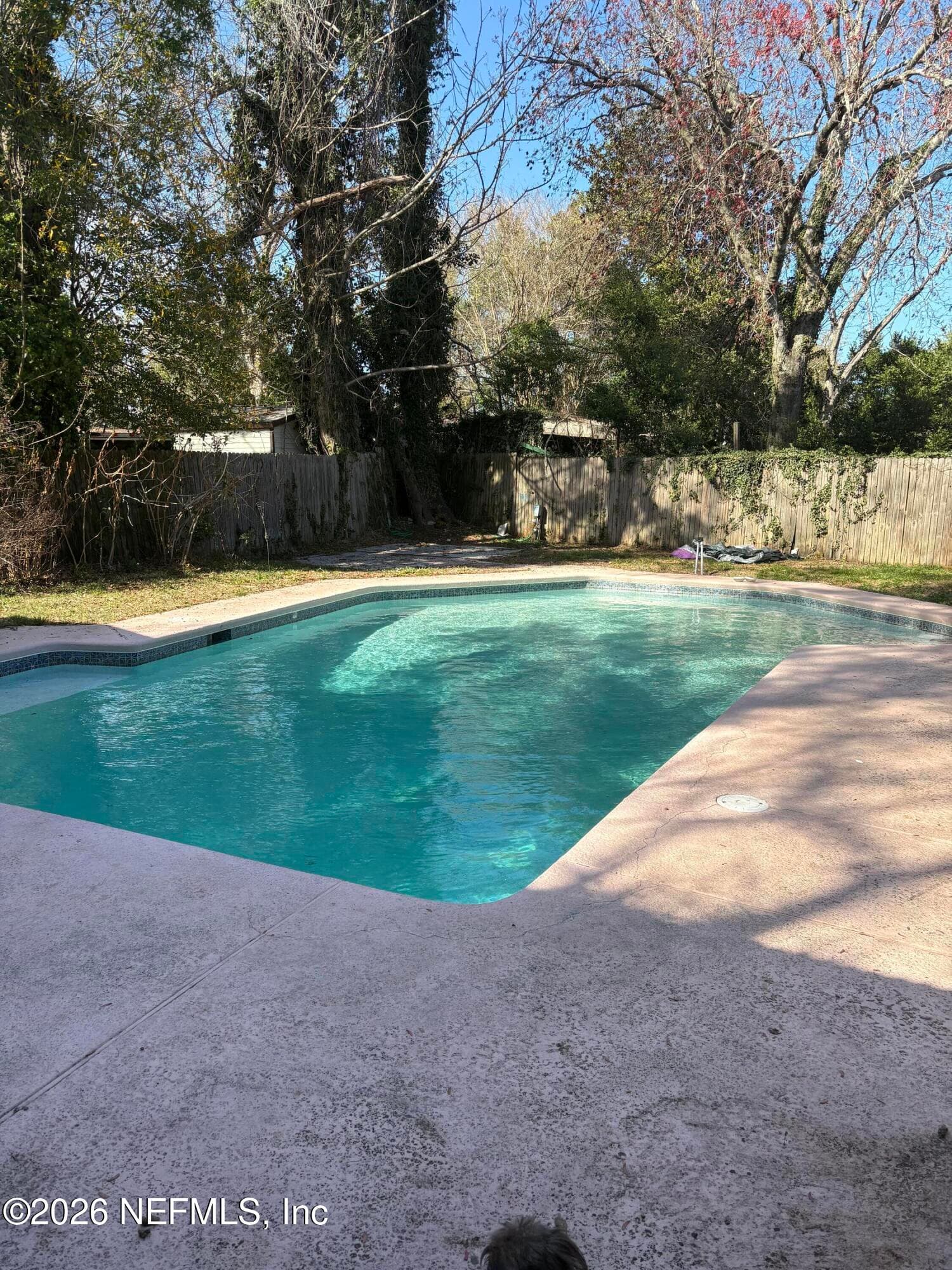 1154 HICKORY Cove, Jacksonville — photo 2