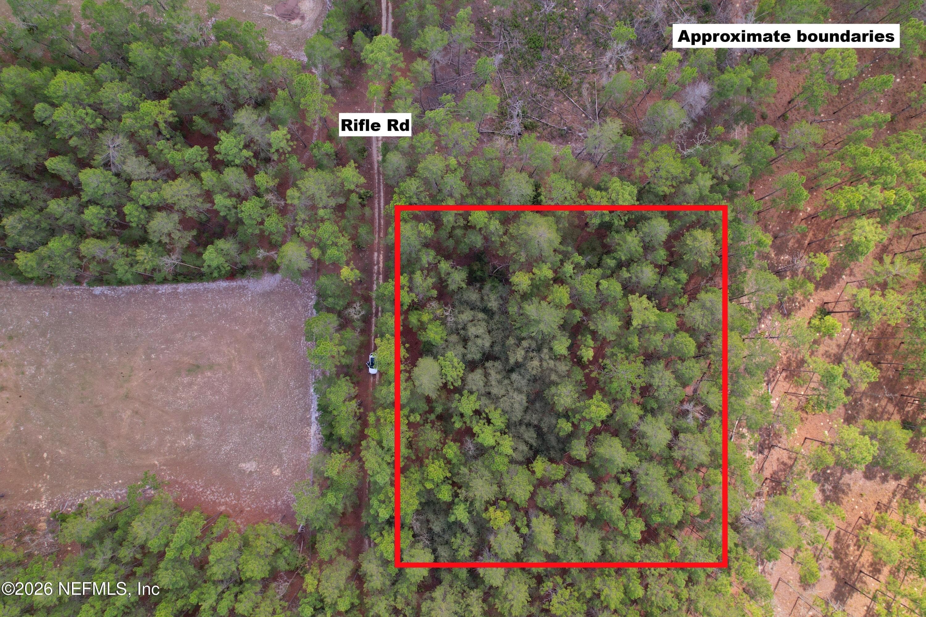 215 RIFLE Road, Florahome, FL 32140, Florahome — photo 2