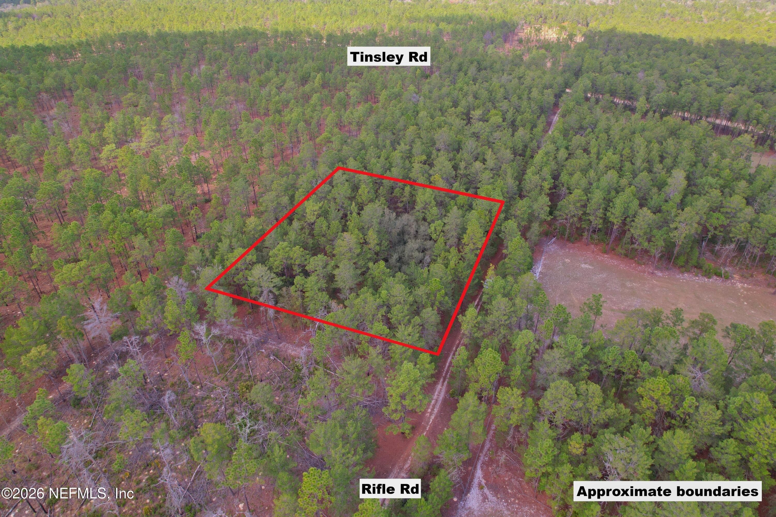 215 RIFLE Road, Florahome, FL 32140, Florahome — photo 3