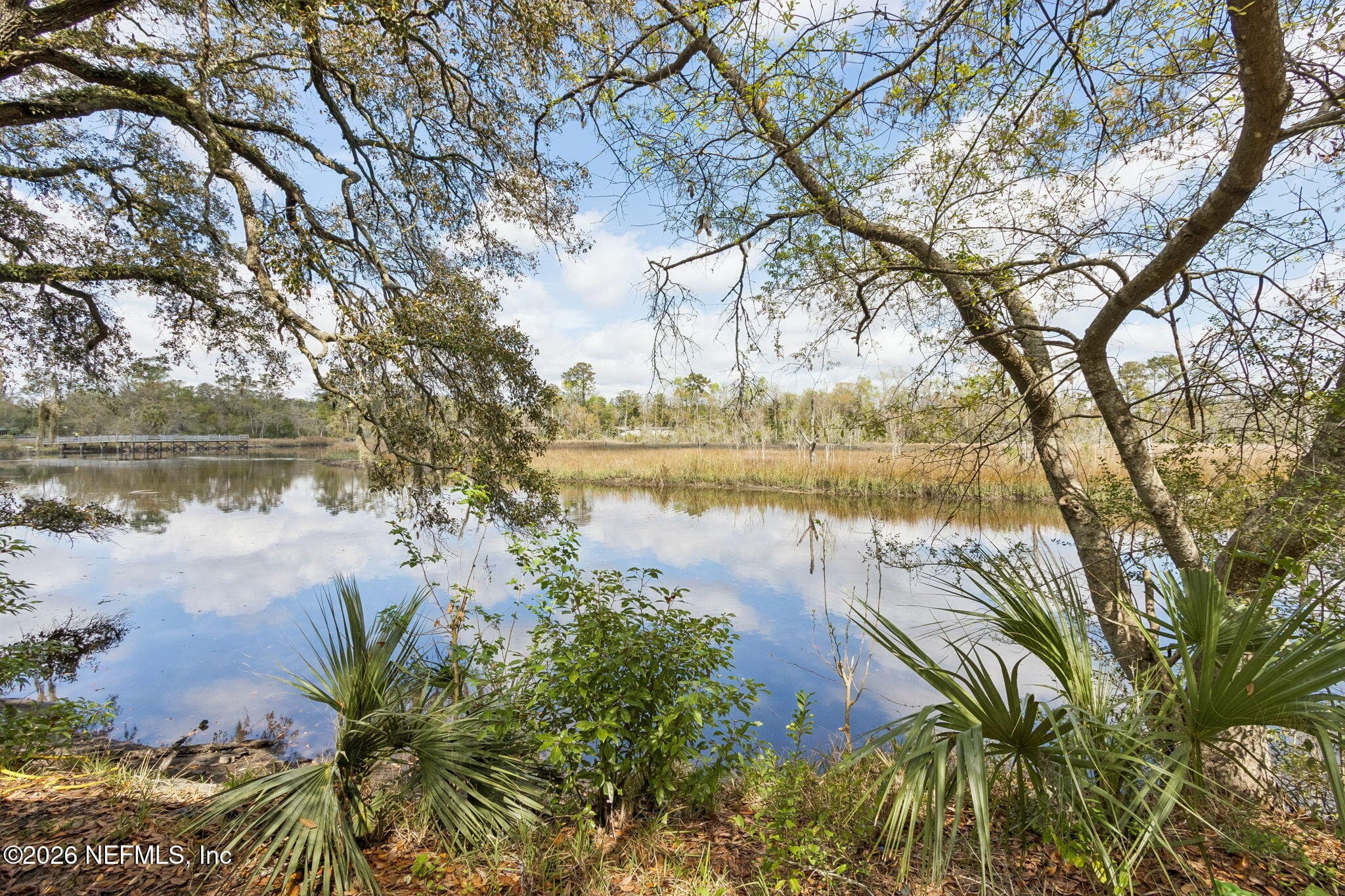 4603 KEN KNIGHT Drive N, Jacksonville, FL 32209, Jacksonville — photo 3