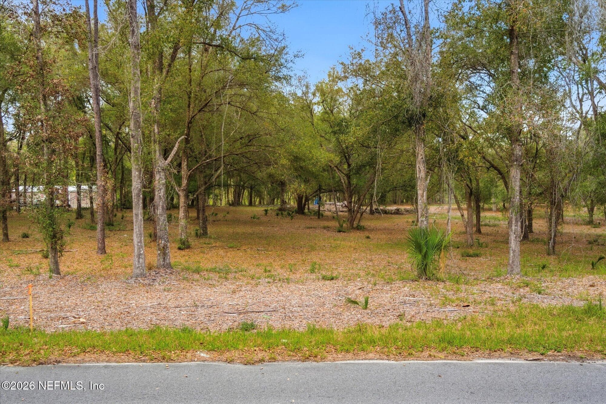 654 Old Welaka Road, Welaka, FL 32193, Welaka — photo 3