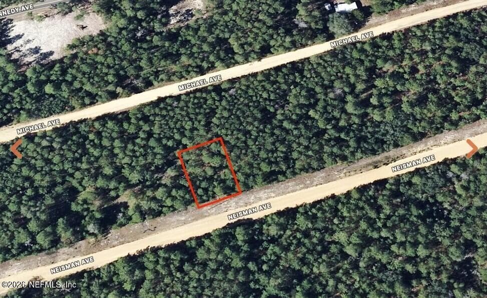 0 NEISMAN Avenue, Interlachen, FL 32148, Interlachen — exterior