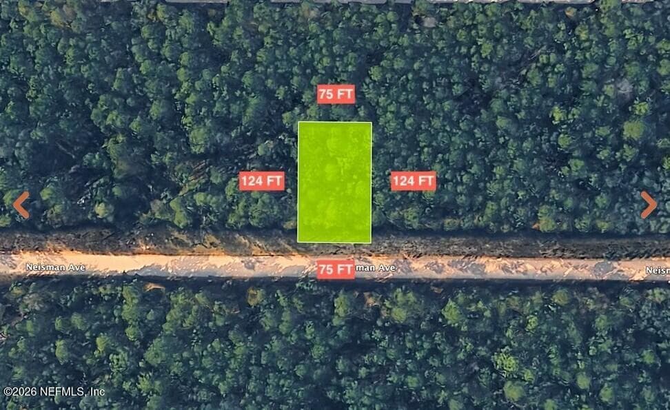 0 NEISMAN Avenue, Interlachen, FL 32148, Interlachen — photo 3
