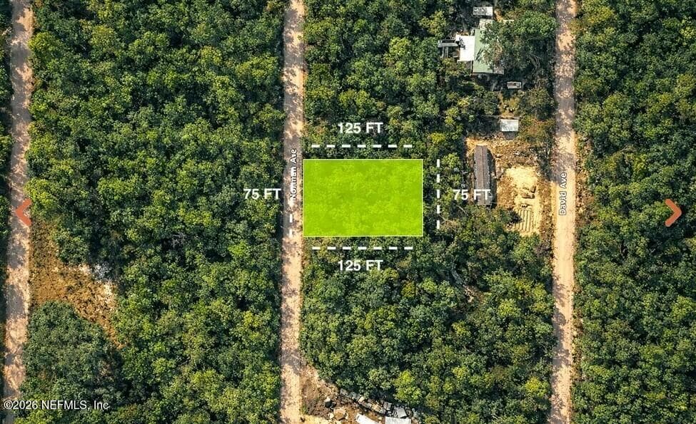 0 NORMAN Avenue, Interlachen, FL 32148, Interlachen — photo 3