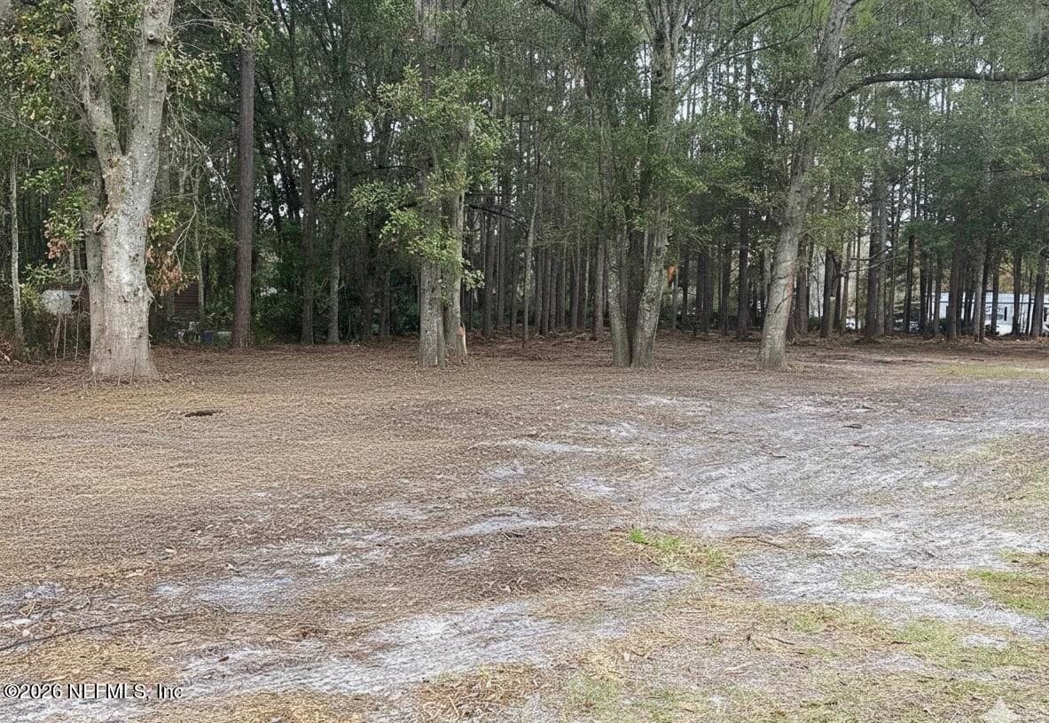 351 & 335 OTIS Road, Jacksonville, FL 32220, Jacksonville — photo 2