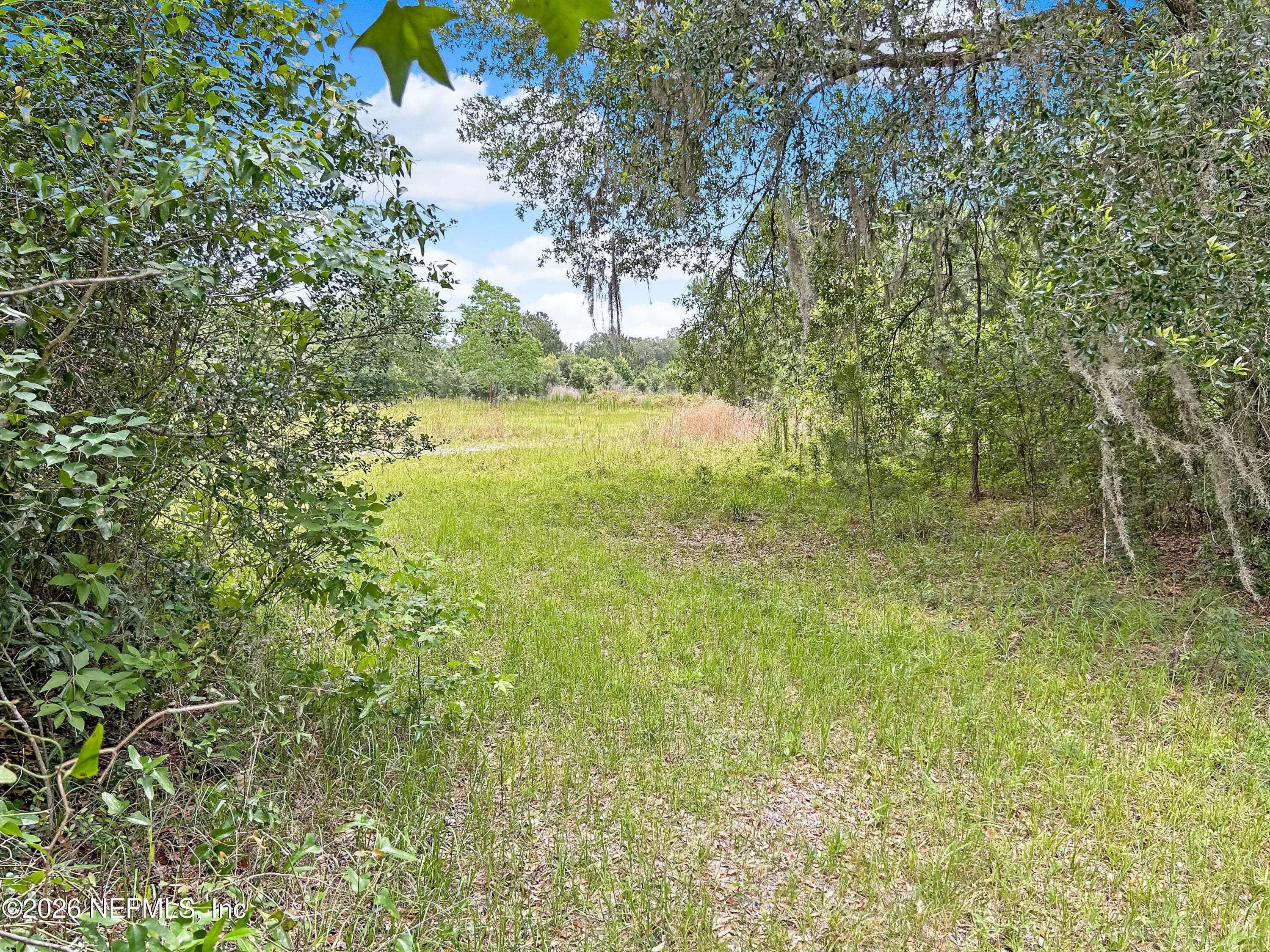0 BLACK CREEK Drive, Middleburg, FL 32068, Middleburg — photo 3