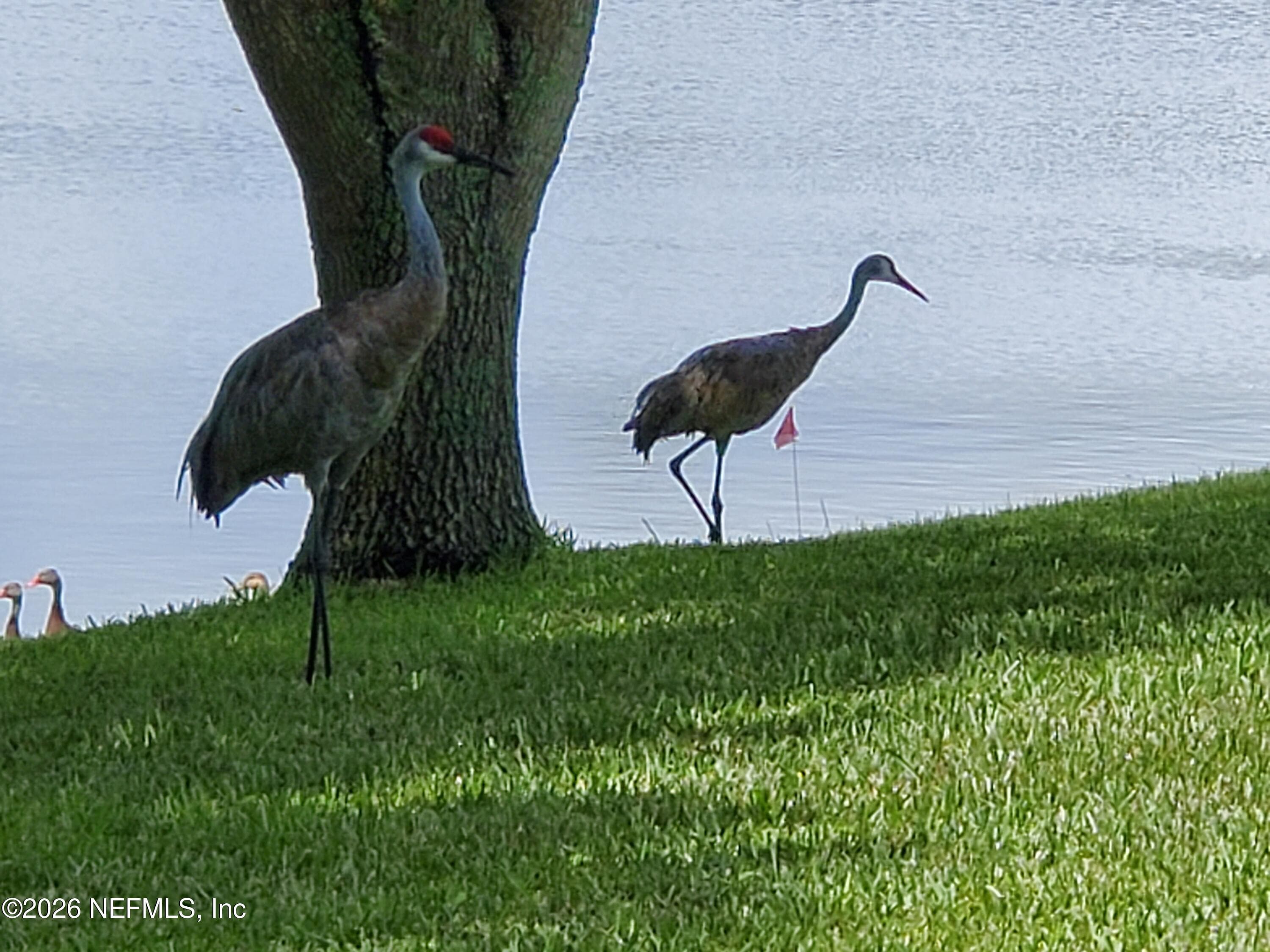 6711 DICKINSON TERR Terrace, Port St. Lucie, FL 34952, Port St. Lucie — photo 3