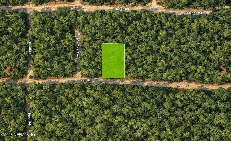 0 NELL Road, Interlachen, FL 32148, Interlachen — photo 3