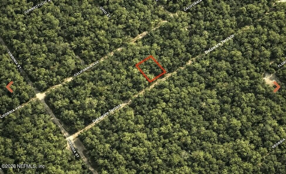 0 DELAWARE Terrace, Interlachen, FL 32148, Interlachen — photo 2