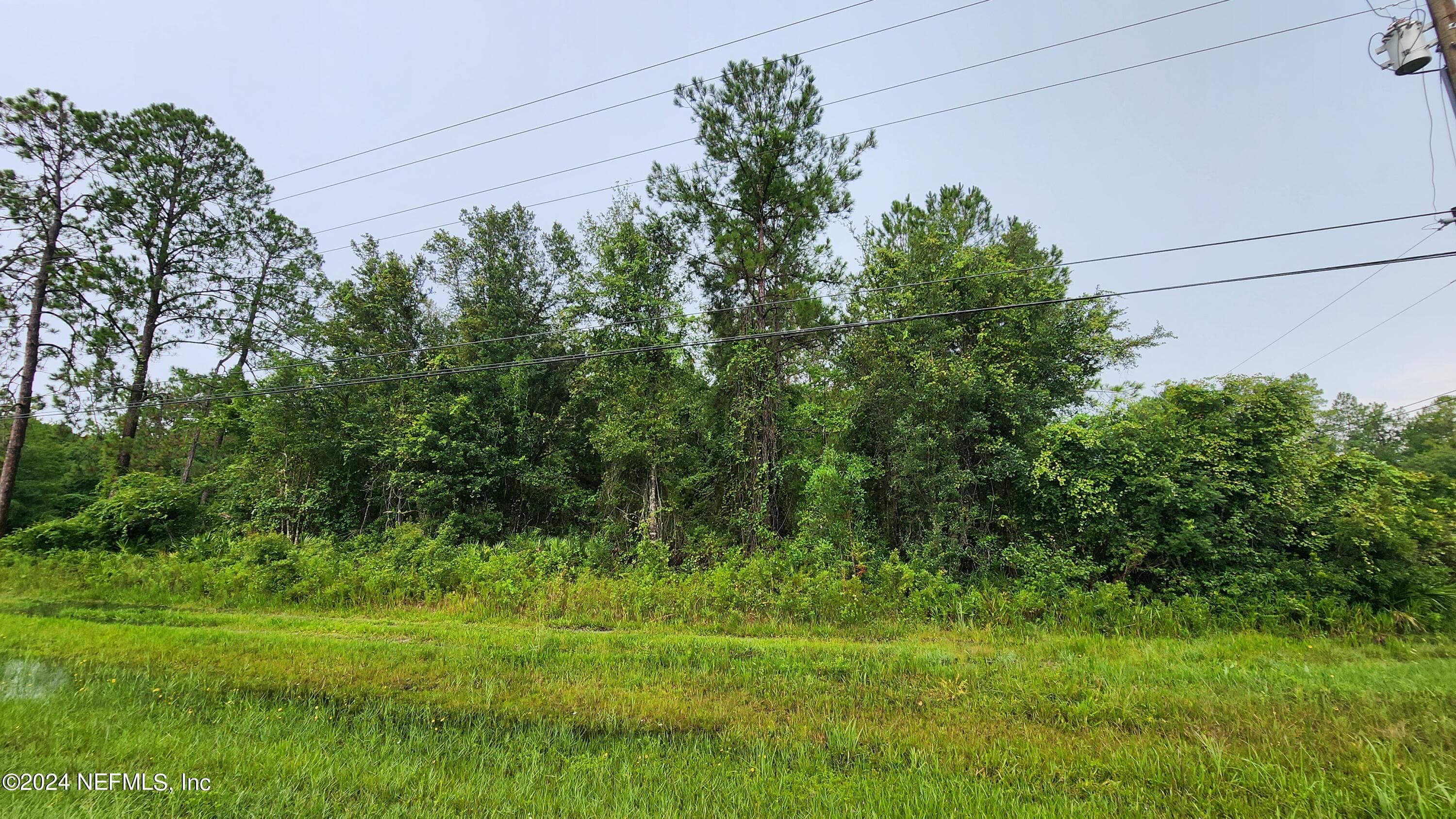 2171 COSMOS Avenue, Middleburg, FL 32068, Middleburg — exterior