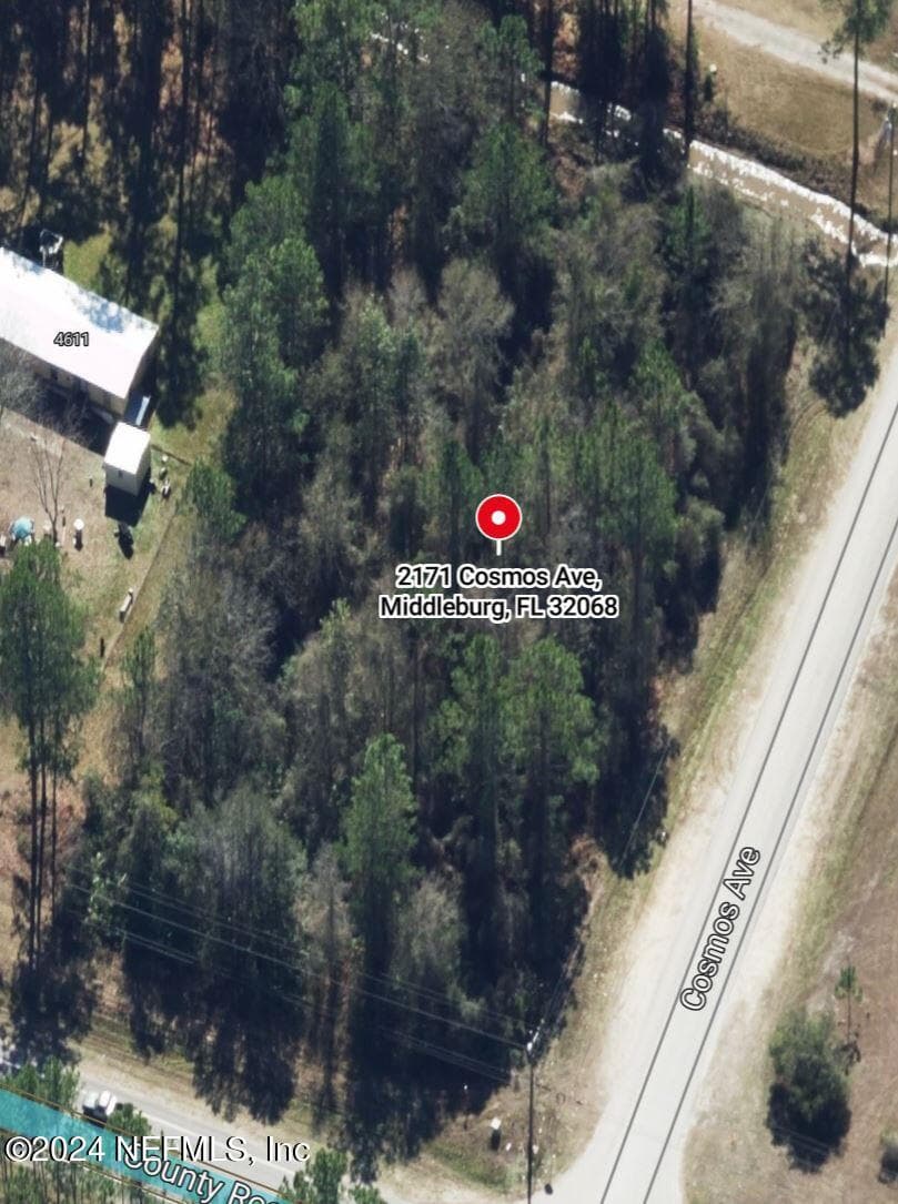 2171 COSMOS Avenue, Middleburg, FL 32068, Middleburg — photo 2