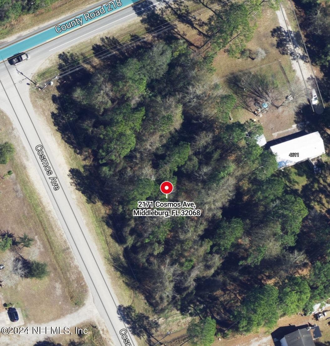 2171 COSMOS Avenue, Middleburg, FL 32068, Middleburg — photo 3