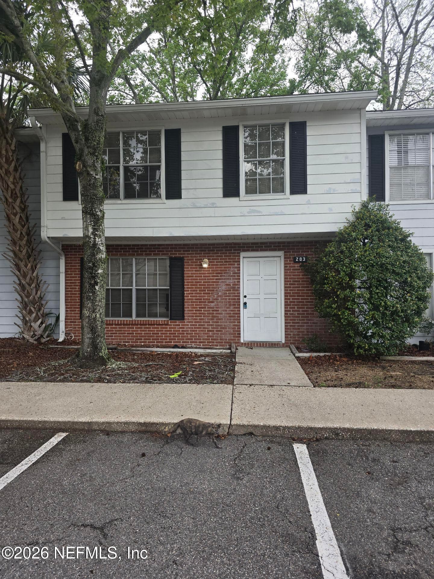 203 KETTERING Court, Orange Park, FL 32073, Orange Park — exterior