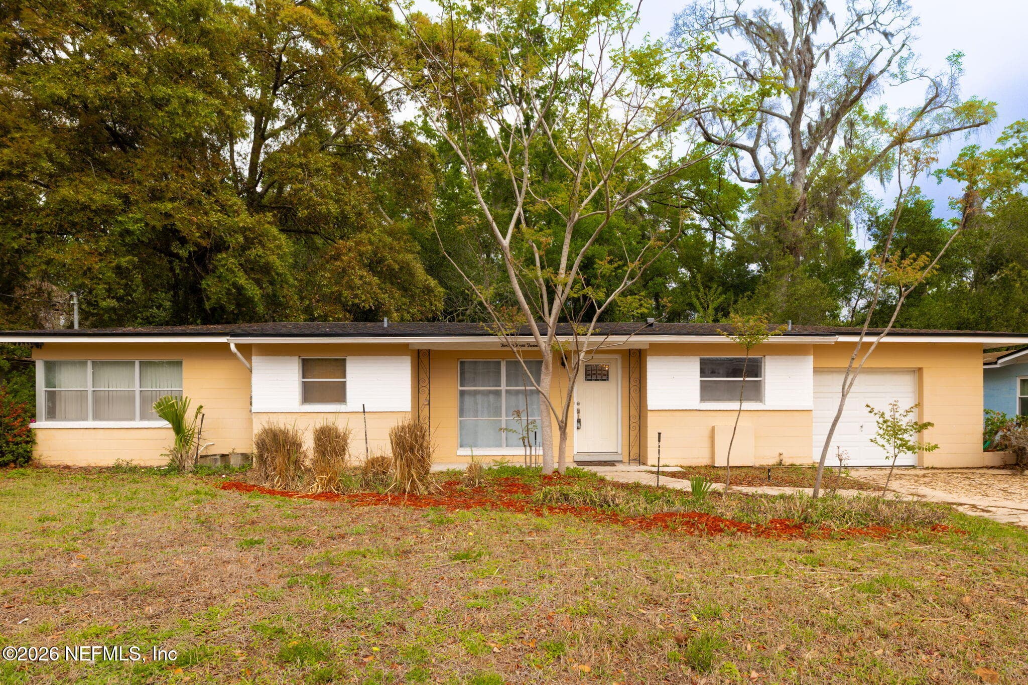 2324 BUTTONWOOD Drive, Jacksonville, FL 32216, Jacksonville — exterior