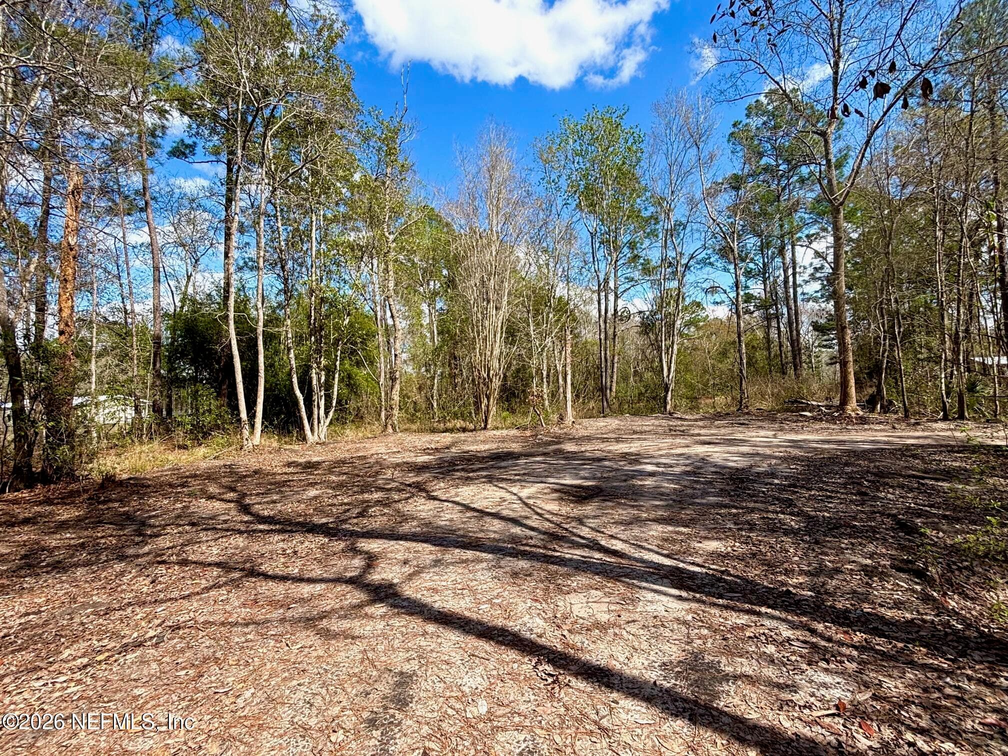 37125 ANNA MARIE Lane, Hilliard, FL 32046, Hilliard — photo 3