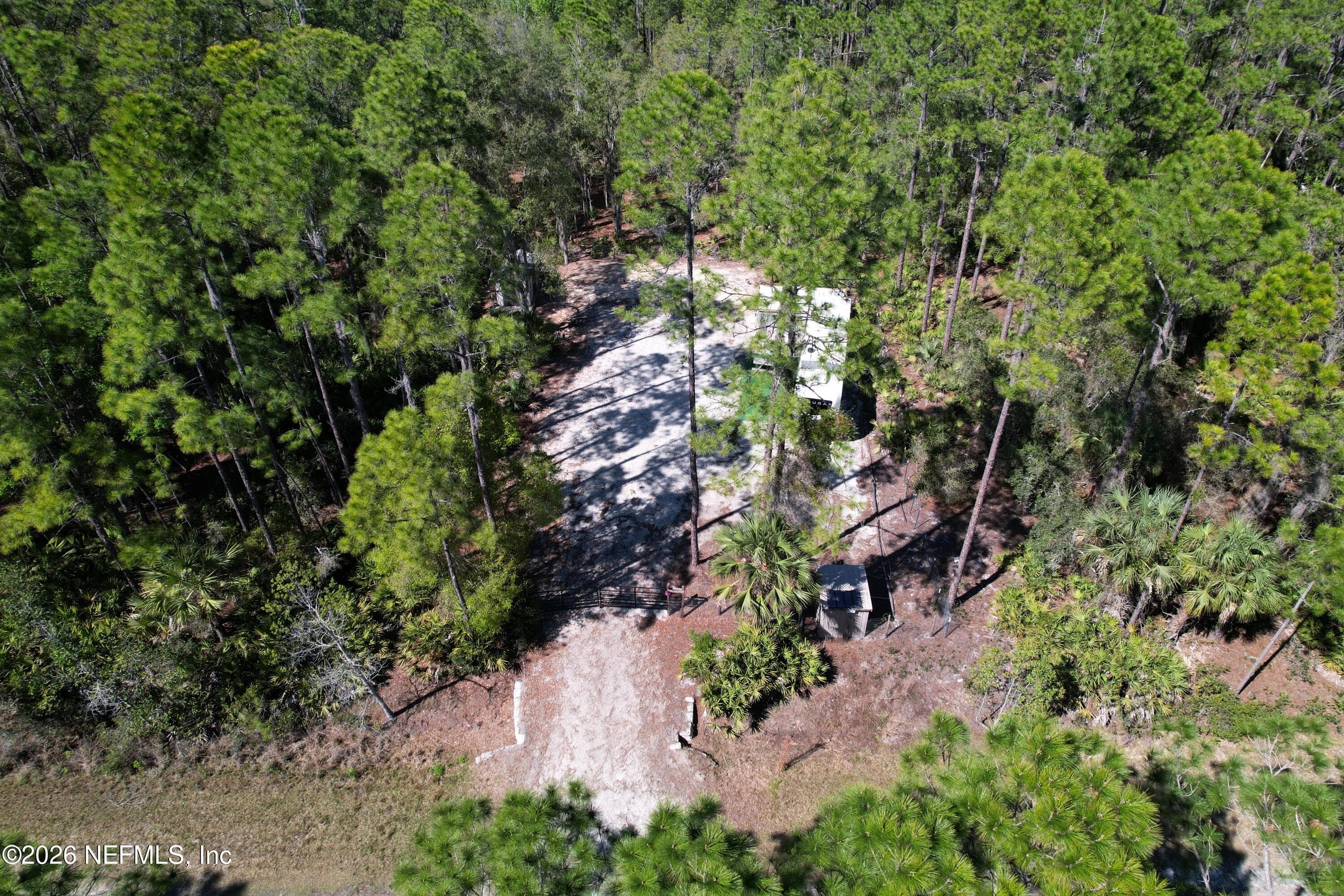 124 MARIE Avenue, Georgetown, FL 32139, Georgetown — photo 3
