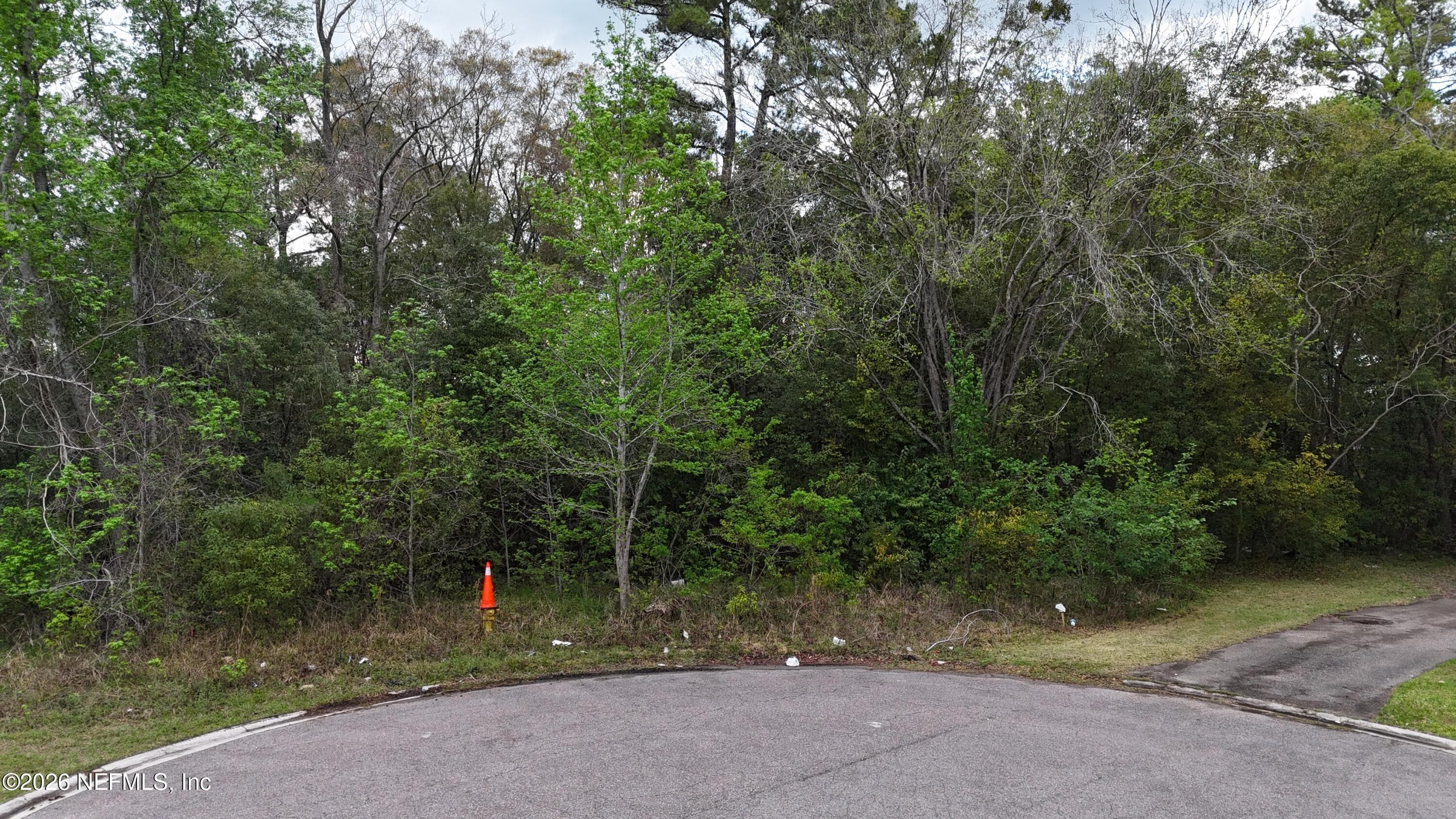 0 DETAILLE Drive, Jacksonville, FL 32209, Jacksonville — photo 2