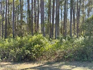 251 GEORGETOWN DENVER Road, Georgetown, FL 32139, Georgetown — photo 3