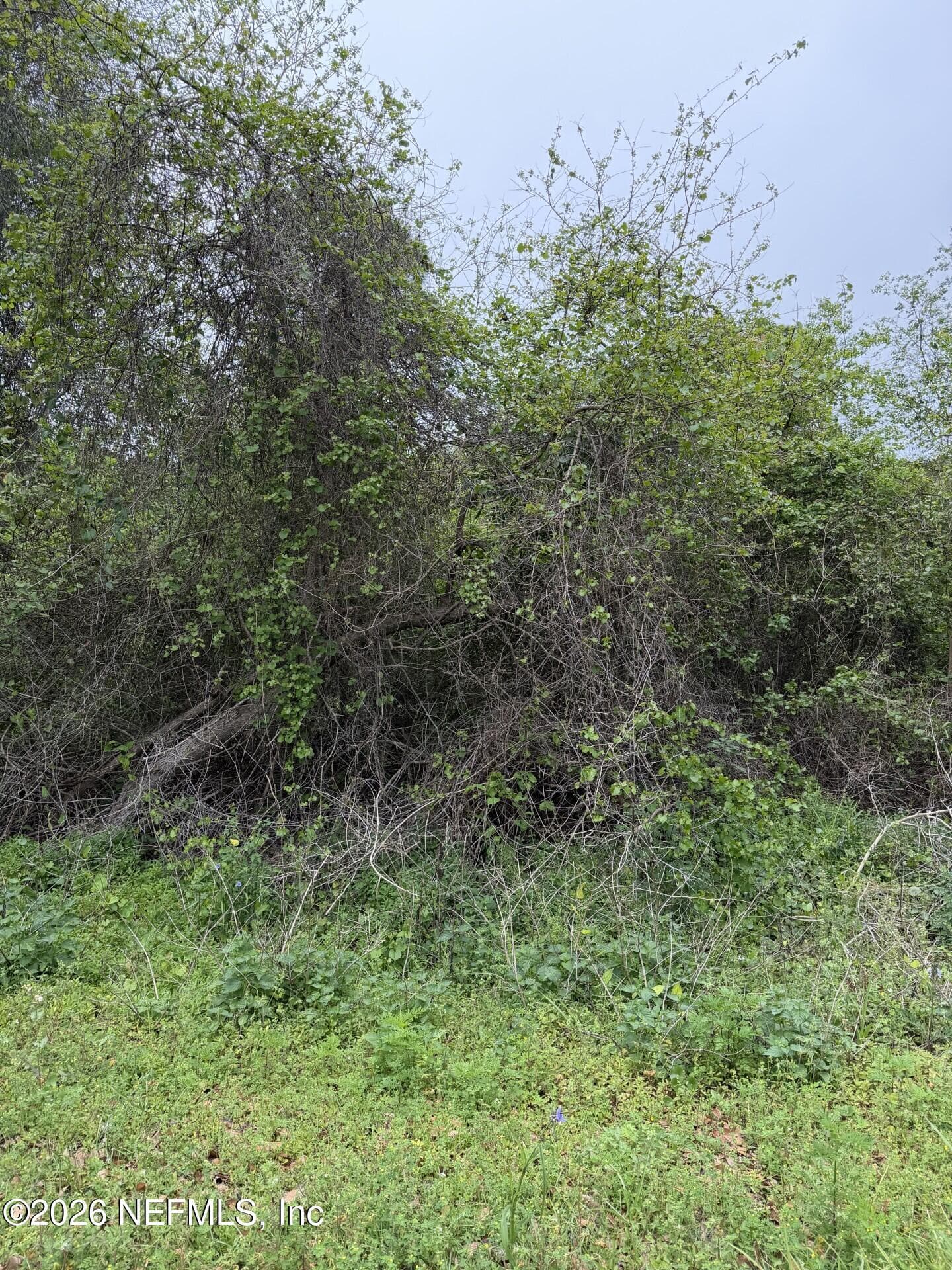 104 KERRY Drive, Satsuma, FL 32189, Satsuma — photo 2