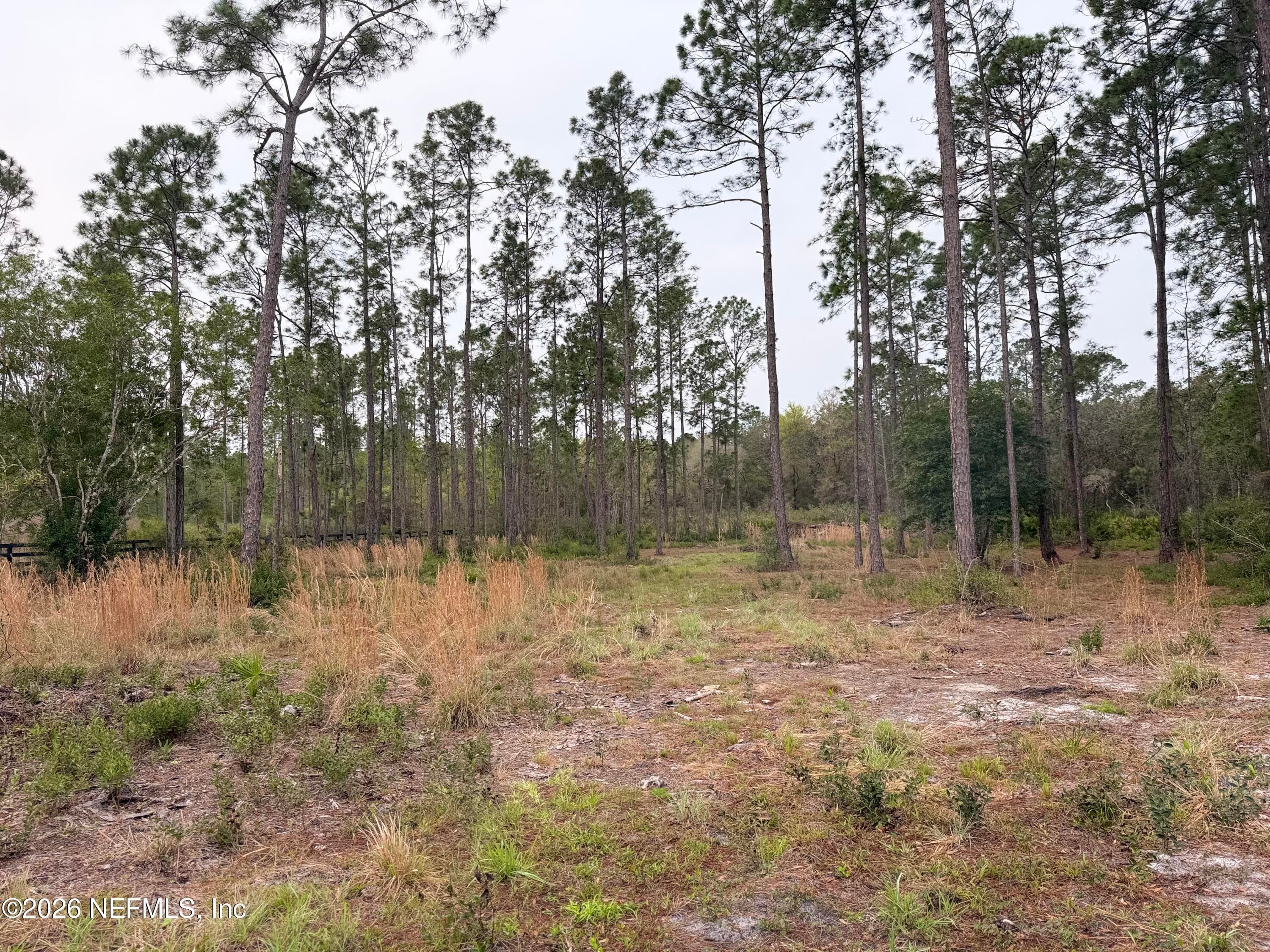 519 5TH Street, Satsuma, FL 32189, Satsuma — exterior