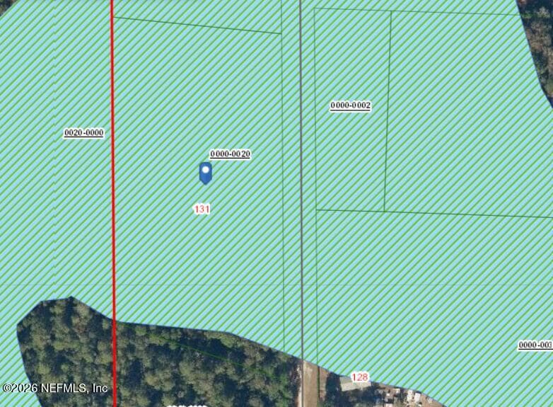 131 PHILLIPS Road, Florahome, FL 32140, Florahome — photo 3