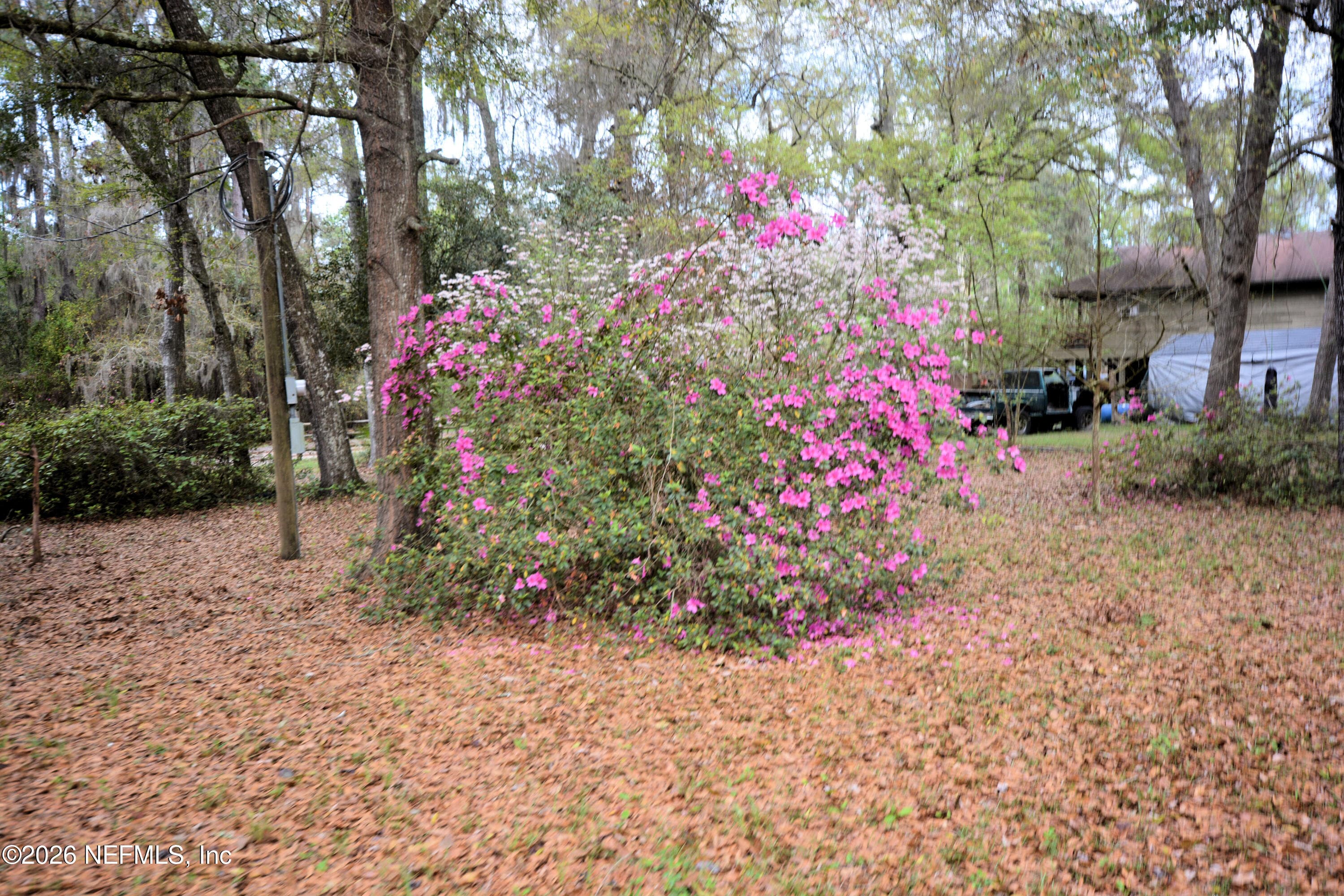 707 HILLSBOROUGH Avenue, Florahome, FL 32140, Florahome — photo 2