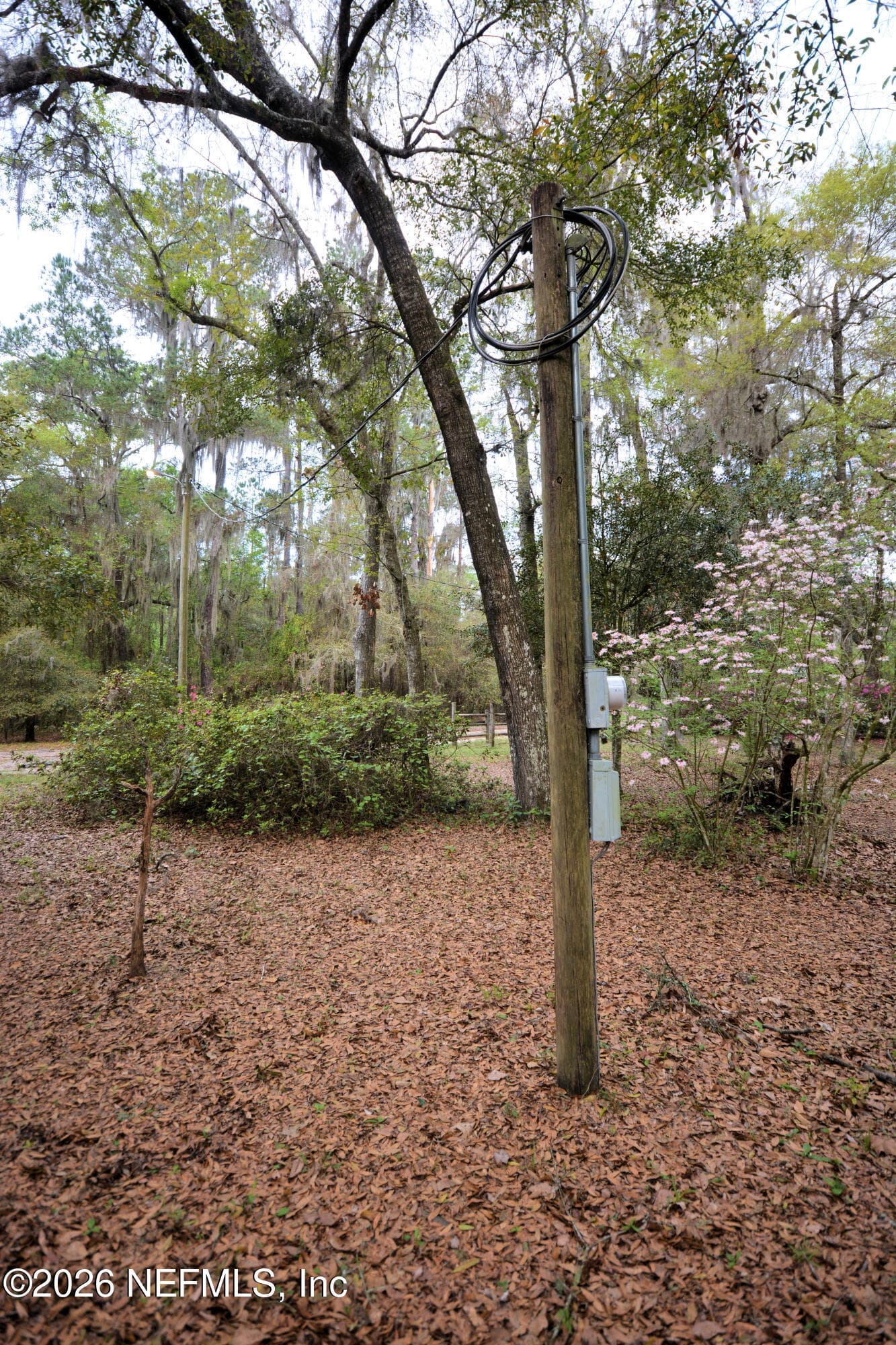707 HILLSBOROUGH Avenue, Florahome, FL 32140, Florahome — photo 3