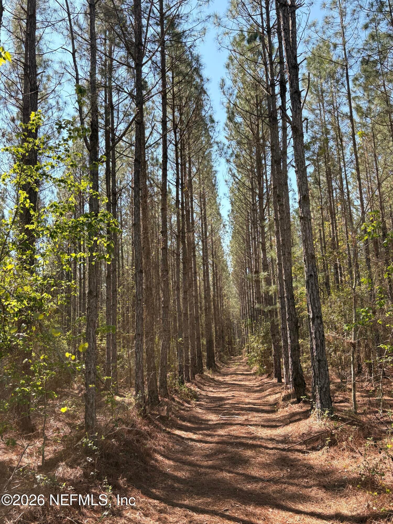 O LAZY PINES Road, Glen St. Mary — photo 2