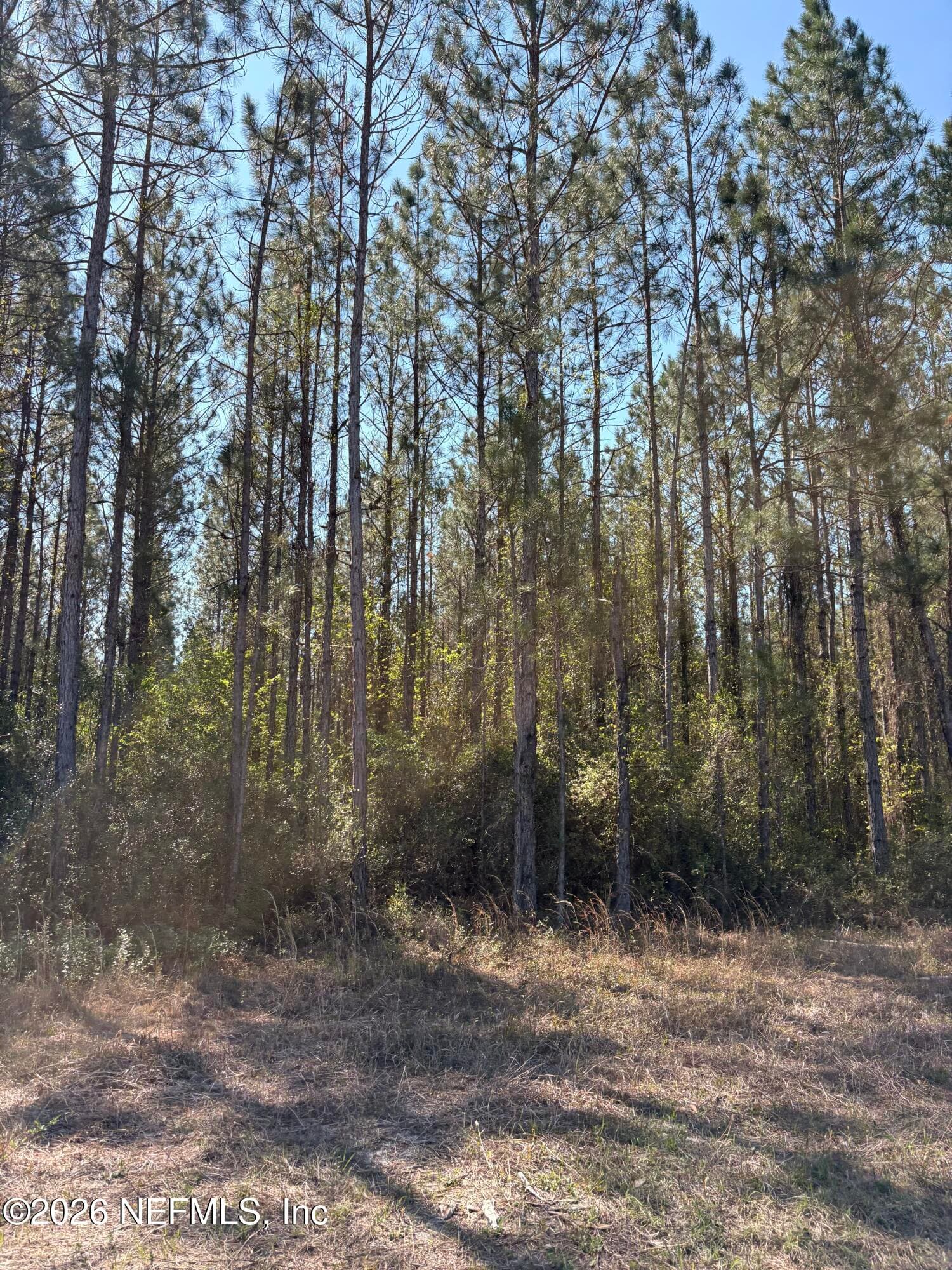 O LAZY PINES Road, Glen St. Mary — photo 3
