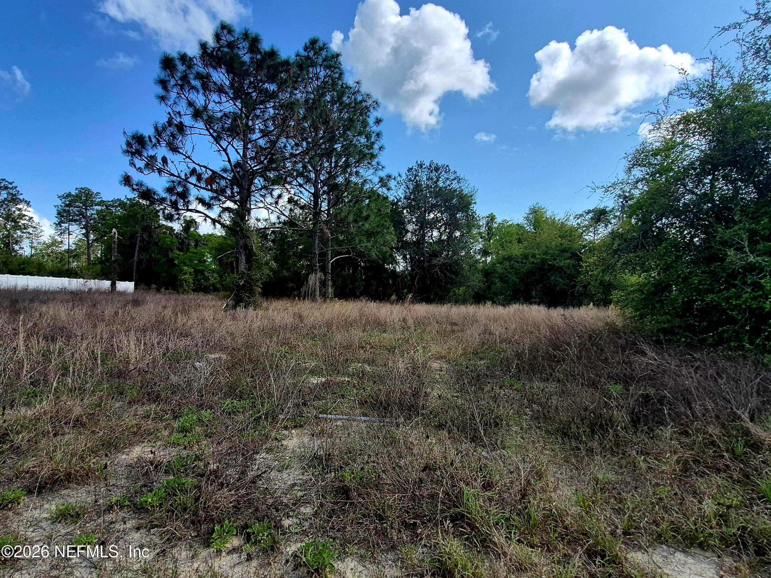 427 RIVER HILL Drive, Welaka, FL 32193, Welaka — photo 2