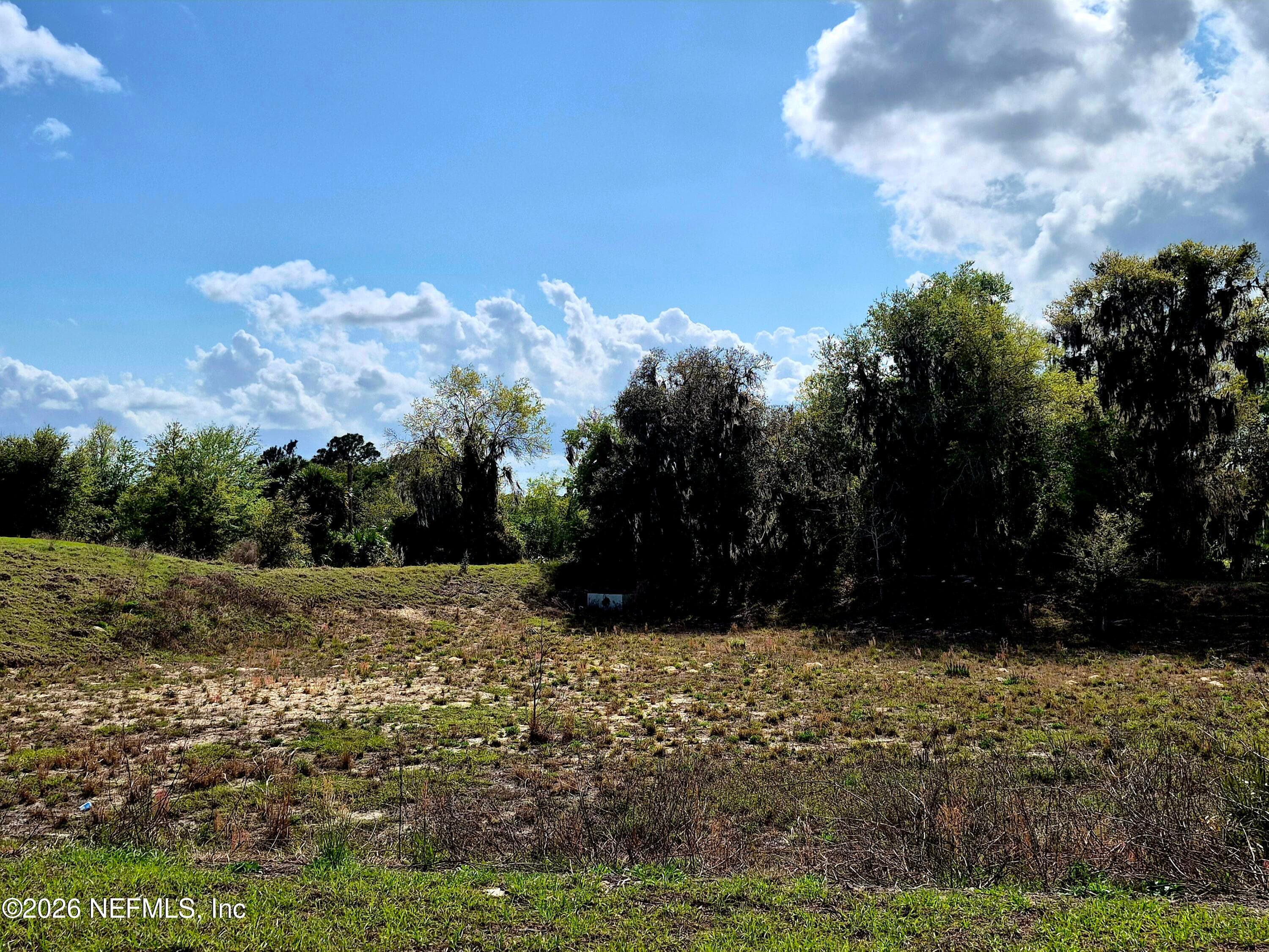 427 RIVER HILL Drive, Welaka, FL 32193, Welaka — photo 3