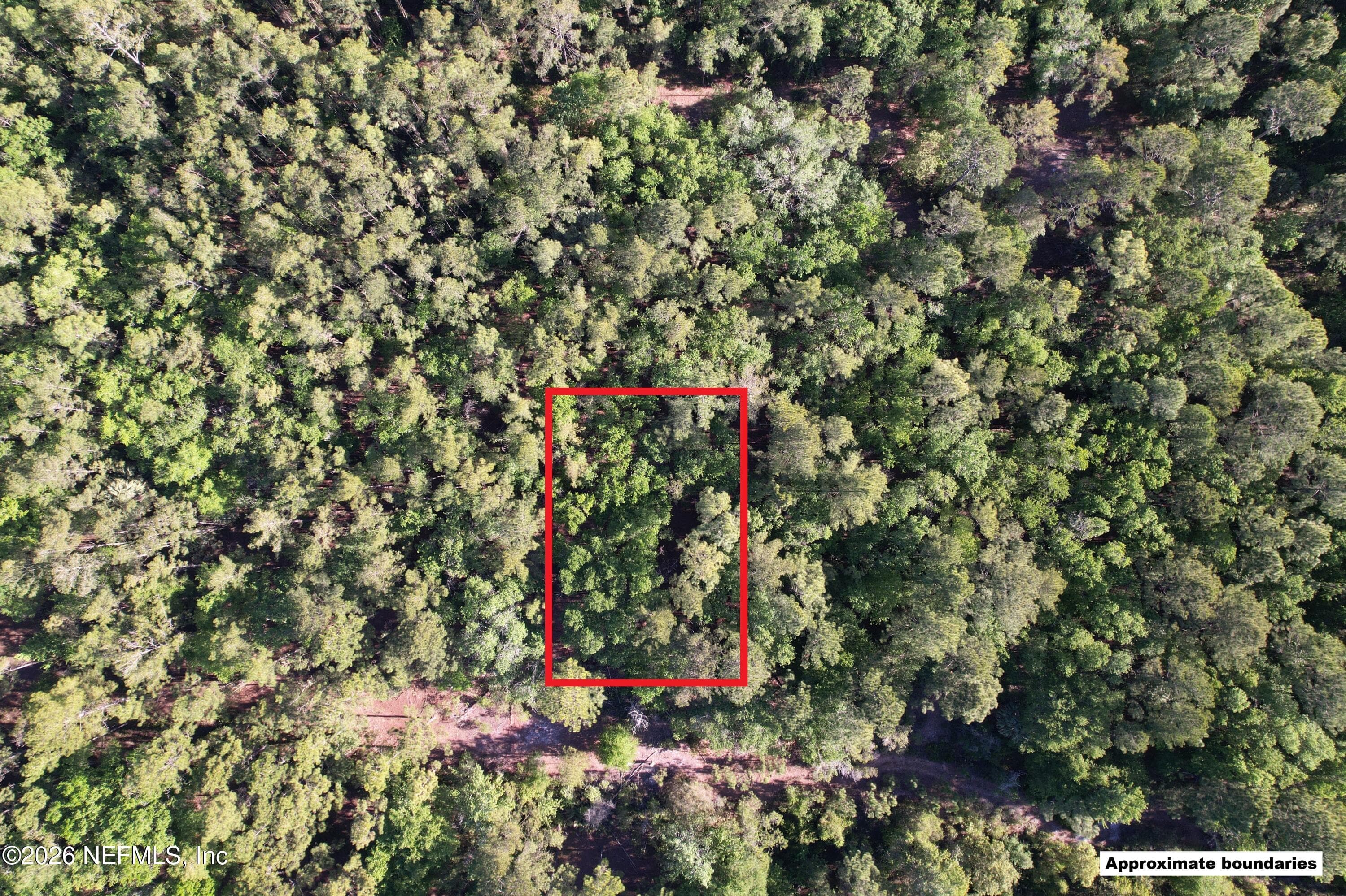 329 CHIPOLA Drive, Georgetown, FL 32139, Georgetown — exterior