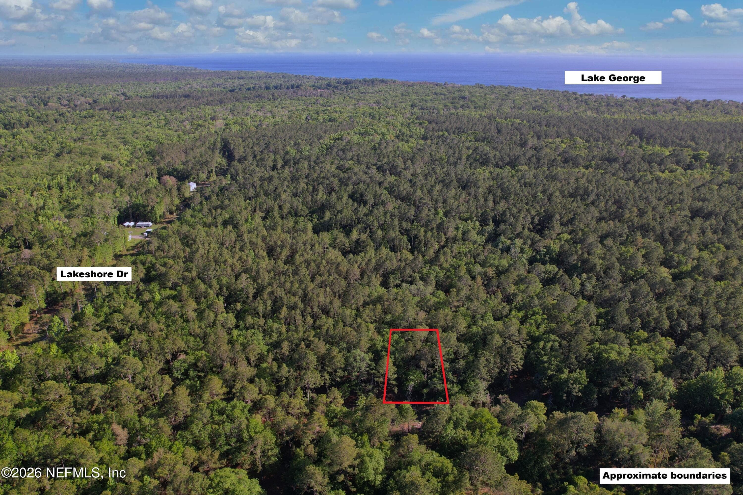 329 CHIPOLA Drive, Georgetown, FL 32139, Georgetown — photo 2