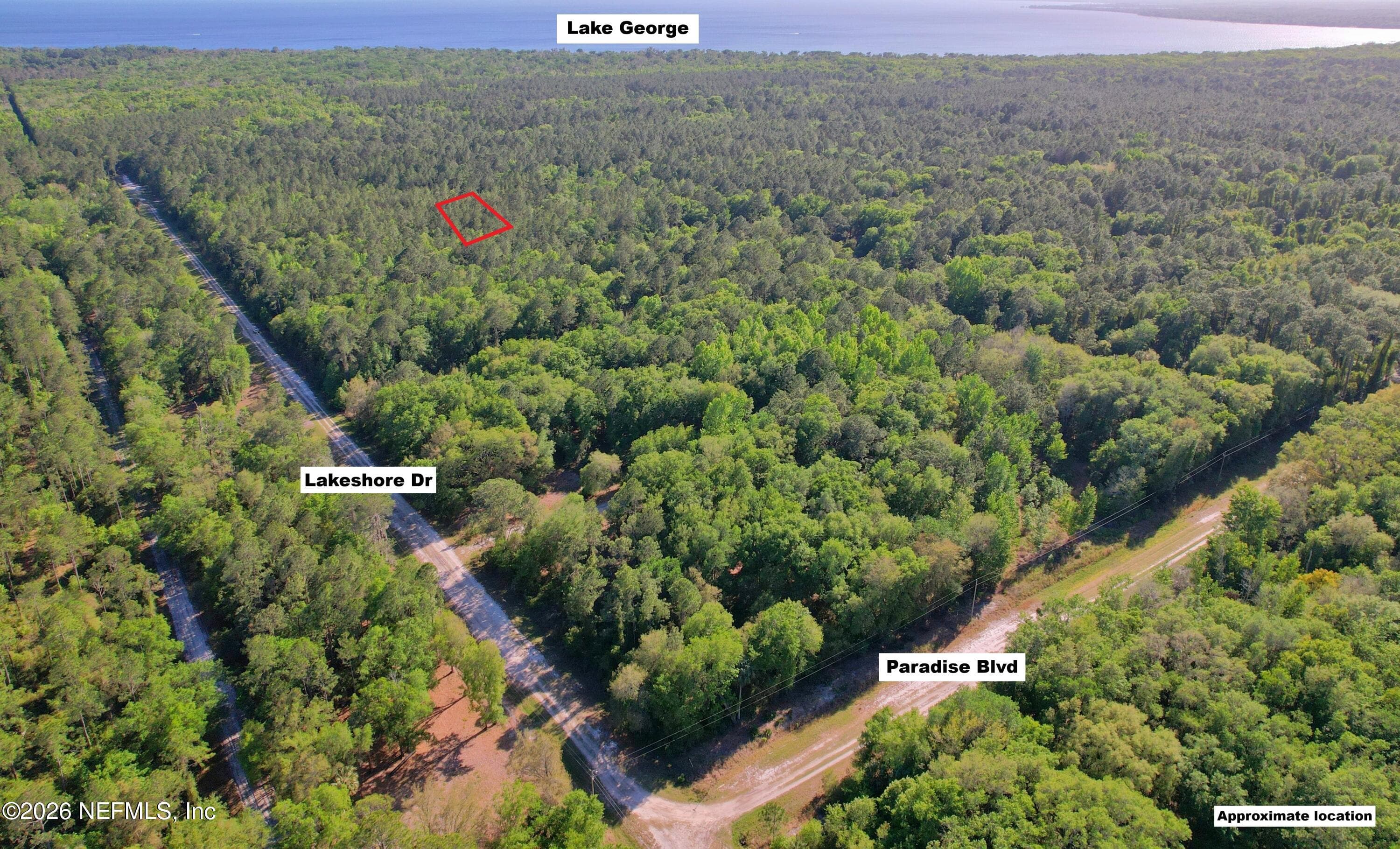 329 CHIPOLA Drive, Georgetown, FL 32139, Georgetown — photo 3