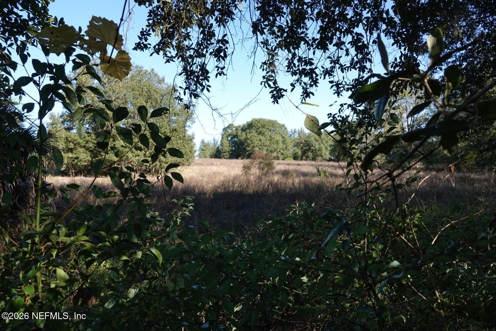 525 RAULERSON Road, Seville, FL 32190, Seville — exterior