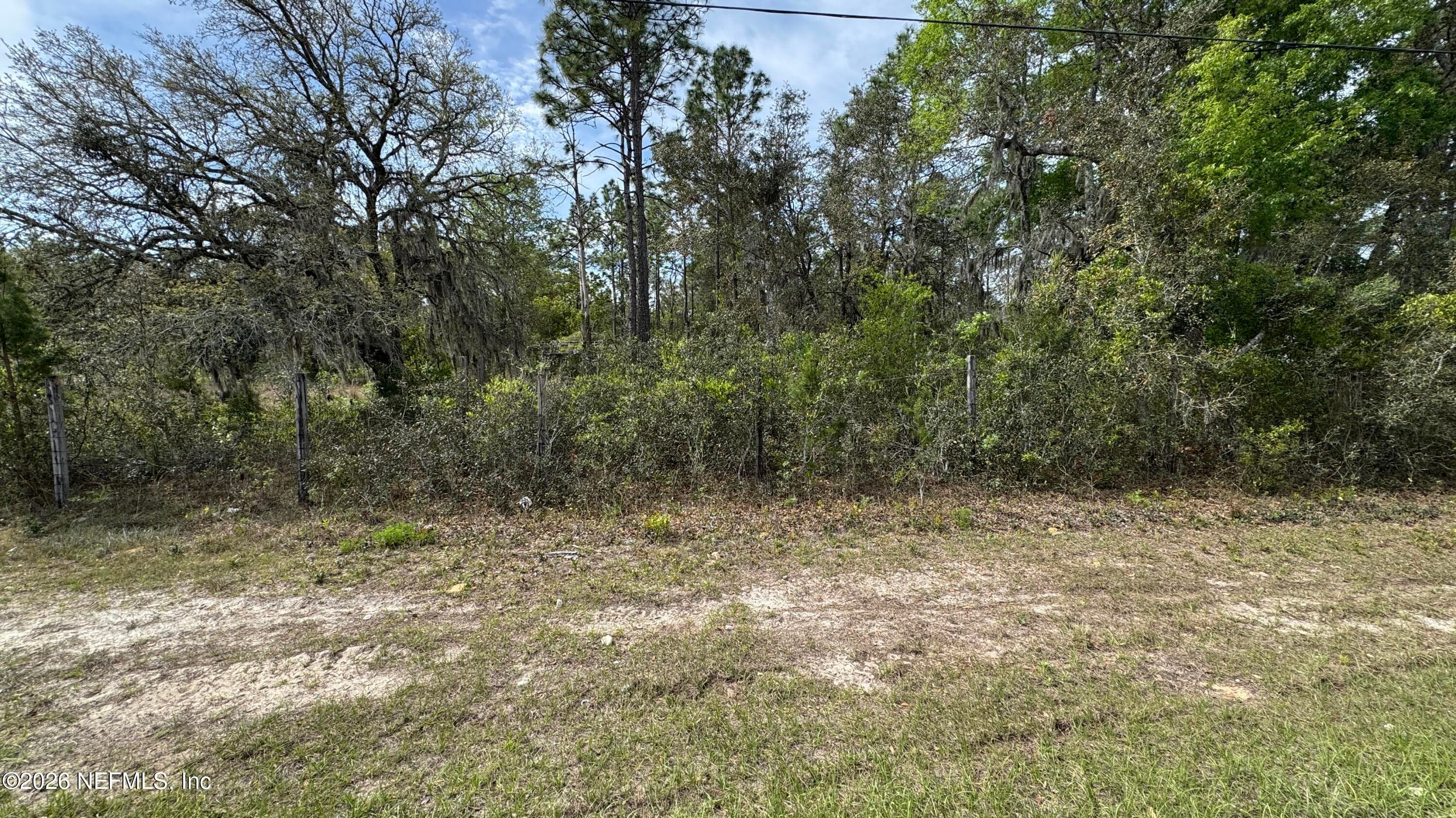 00 STATE RD 20, Interlachen, FL 32148, Interlachen — photo 3