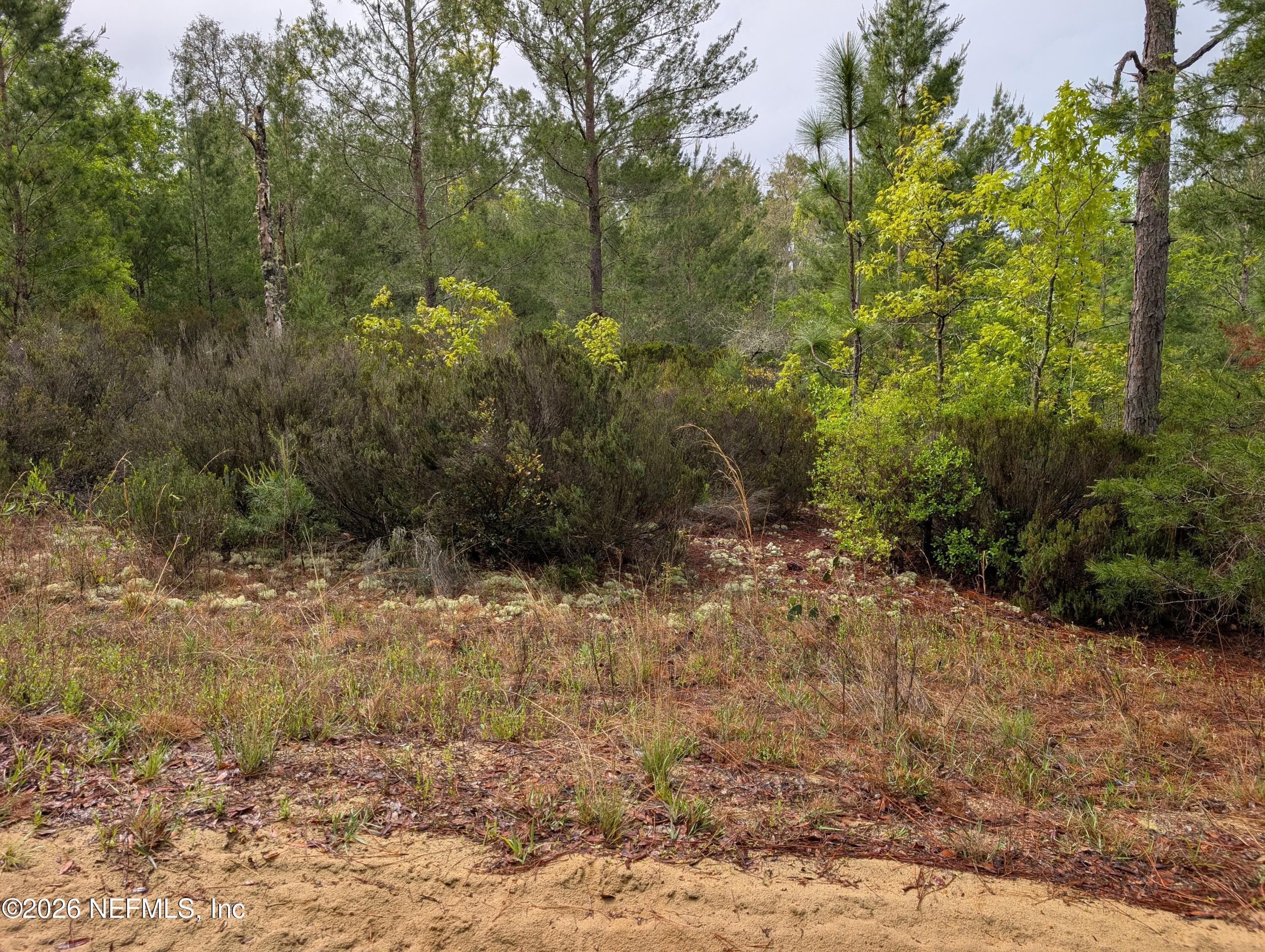 LOT 34 SE 10TH Street, Interlachen, FL 32148, Interlachen — exterior